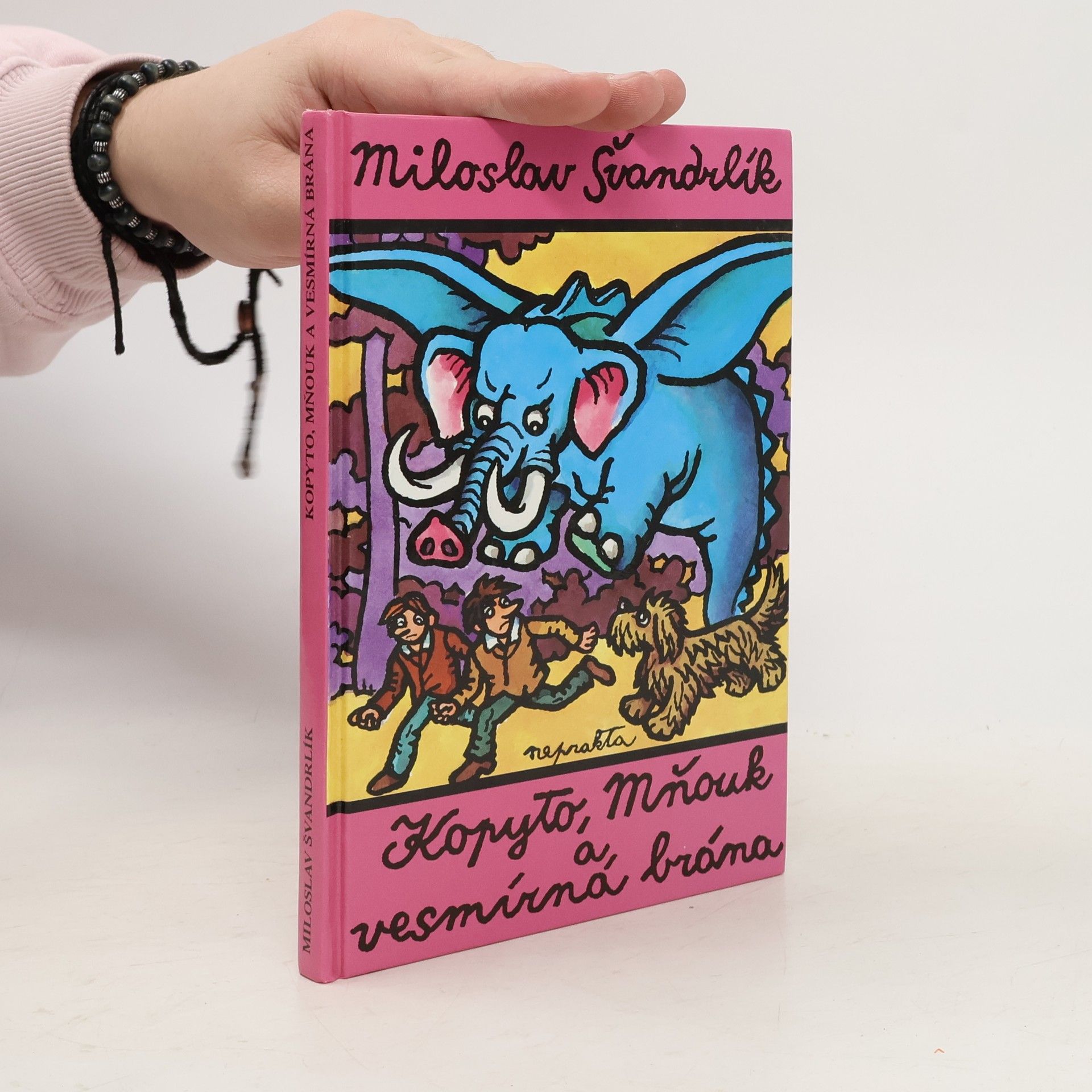 Miloslav Švandrlík Kopyto, Mňouk a vesmírná brána