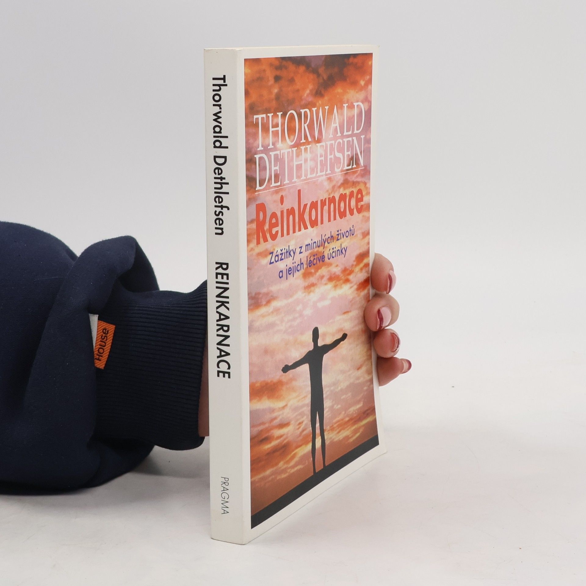 Thorwald Dethlefsen Reinkarnace : zážitky z minulých životů a jejich léčebné účinky