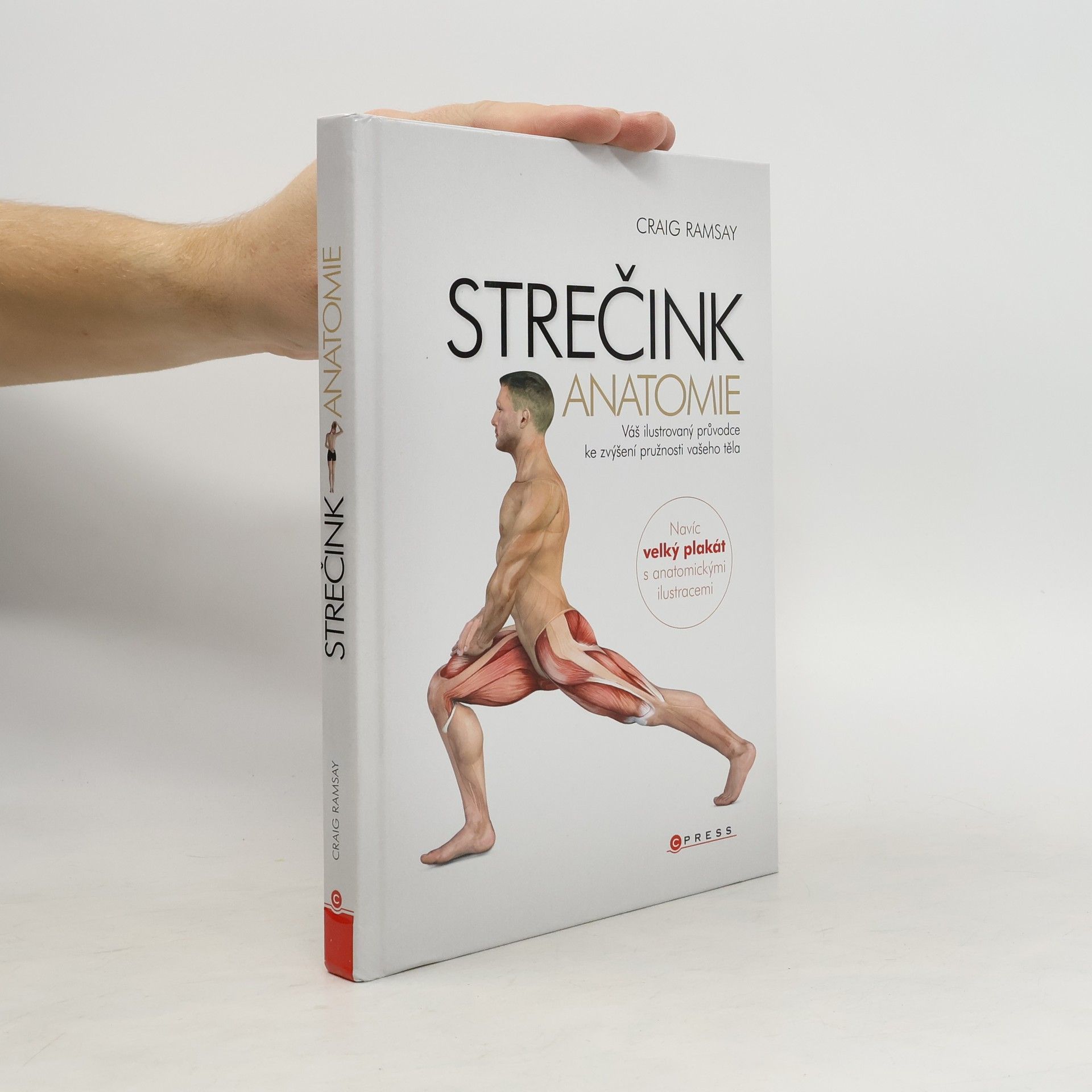 Craig Ramsay Strečink - anatomie