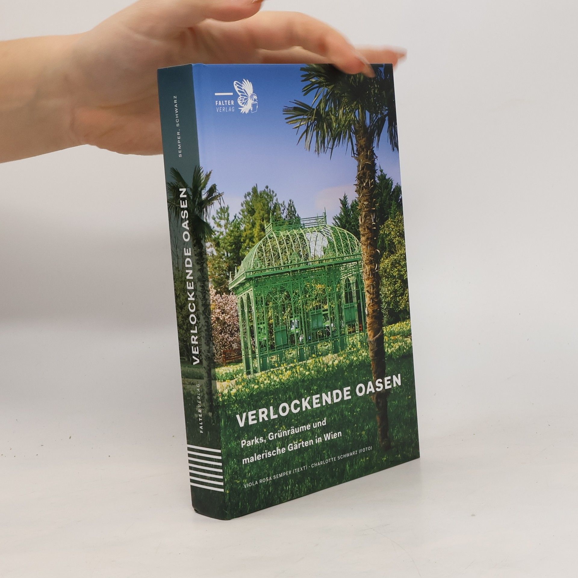 Viola Rosa Semper Verlockende Oasen