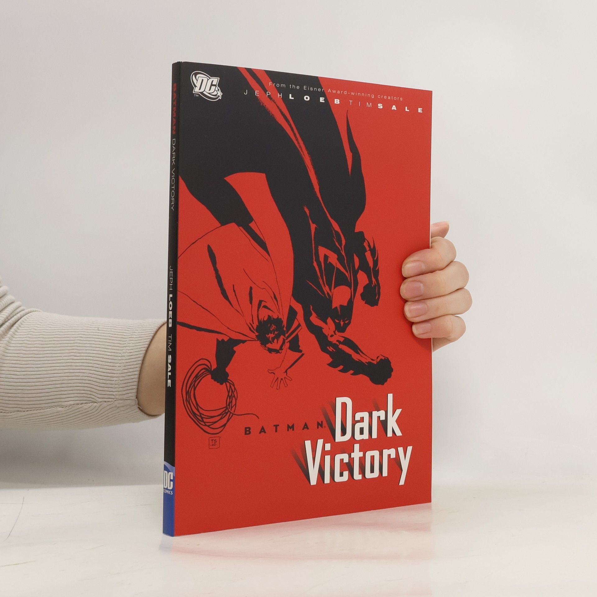 Kolektiv autorů Batman. Dark Victory