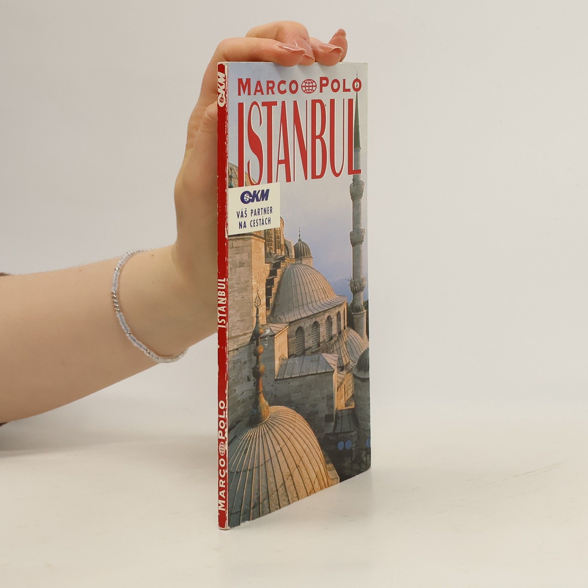 Rainer Poschl Istanbul. Průvodce na cesty s osvědčenými tipy