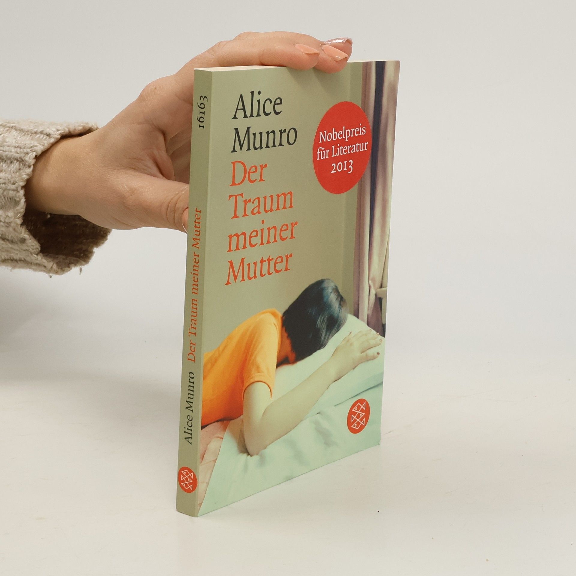Alice Munro Der Traum meiner Mutter