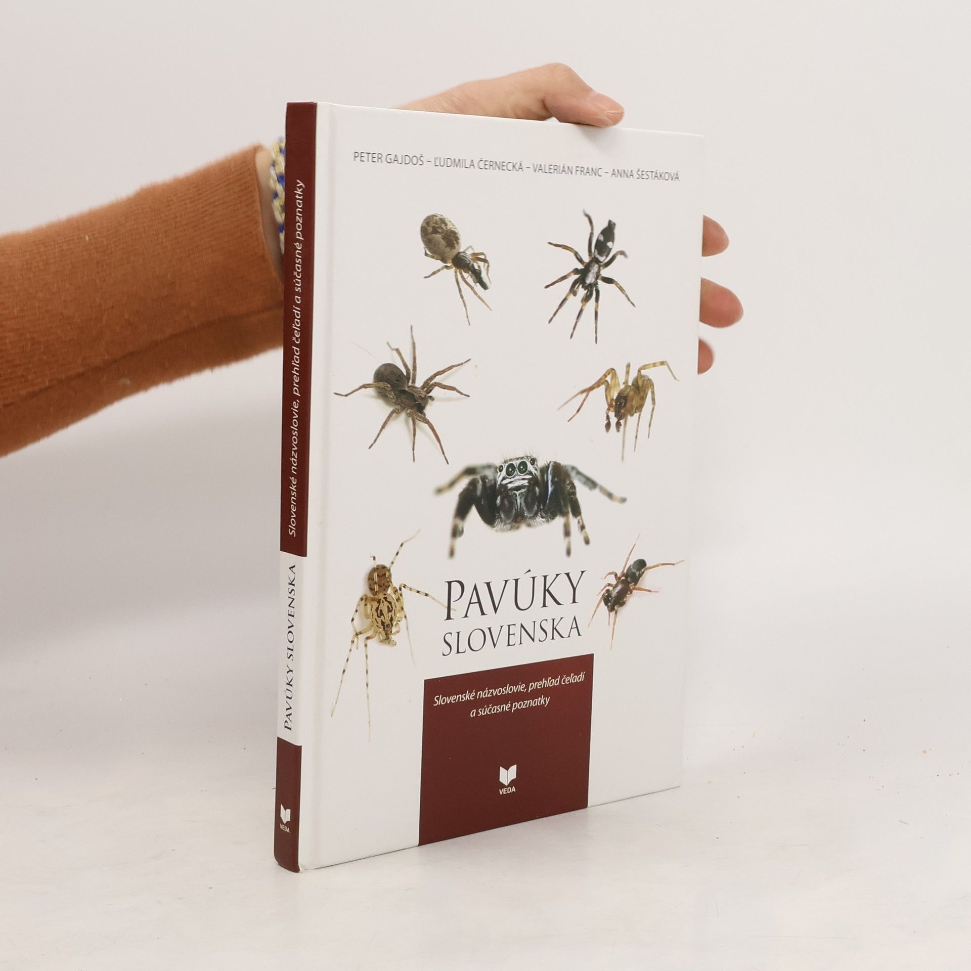 Pavúky Slovenska