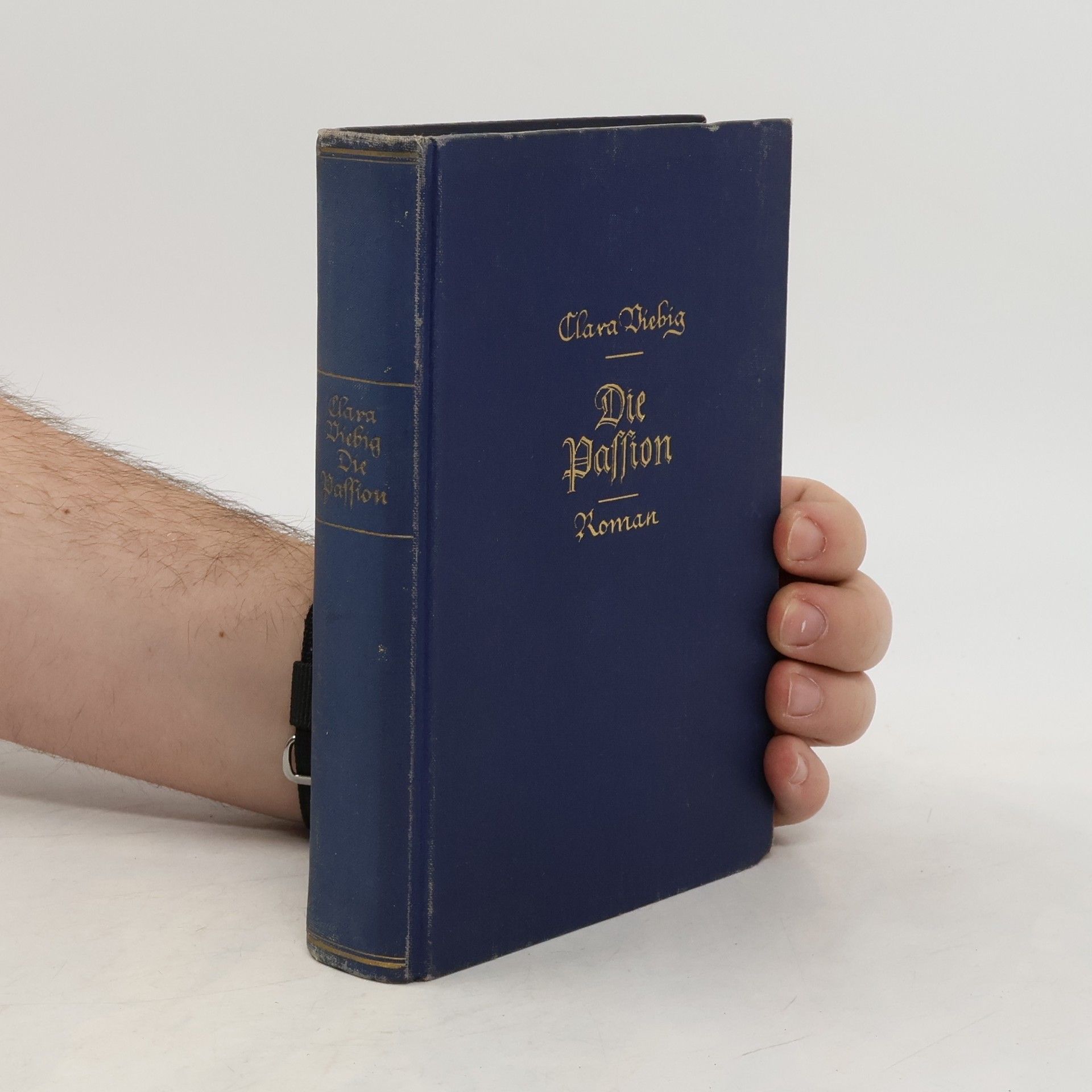 Clara Viebig Die Passion