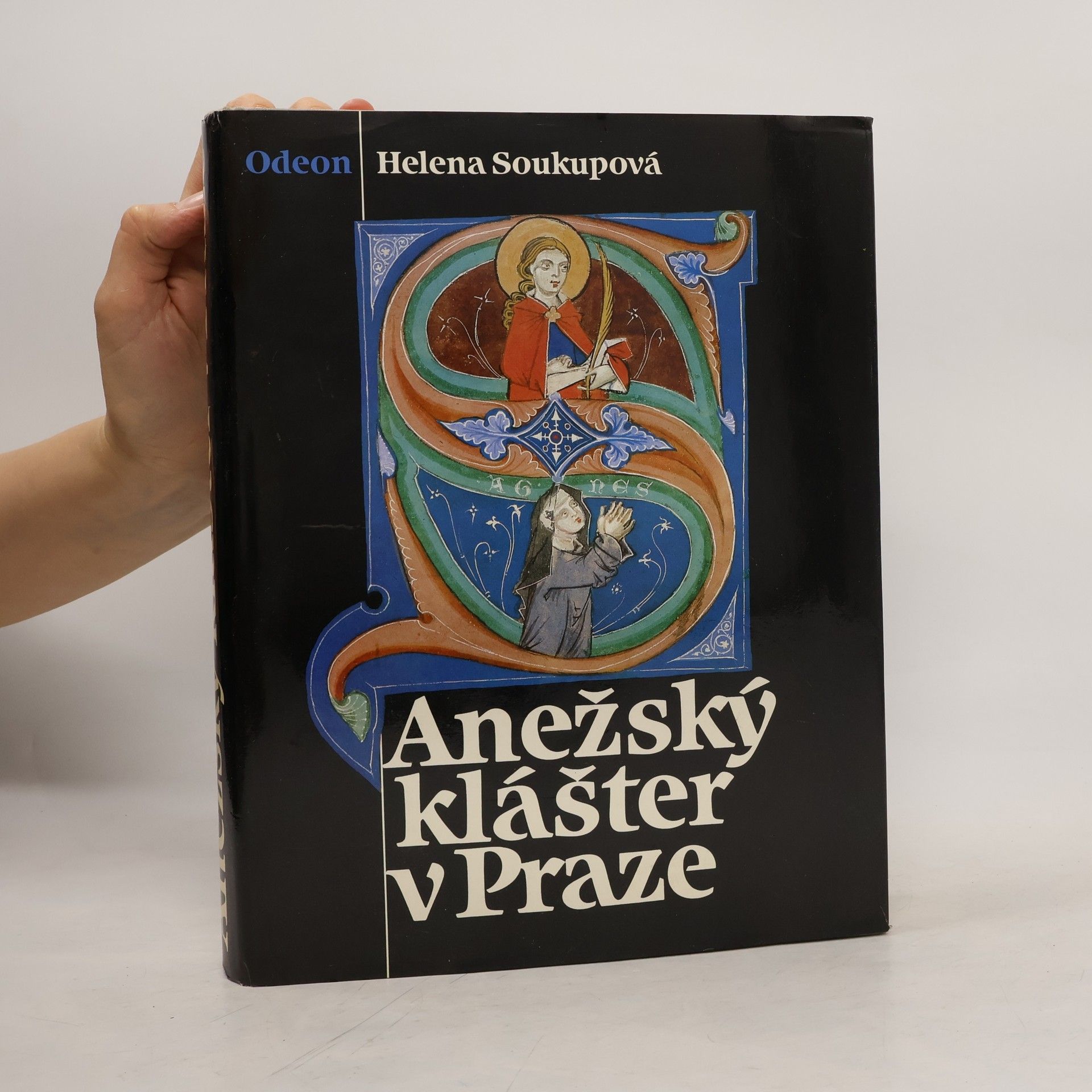 Helena Soukupová Anežský klášter v Praze