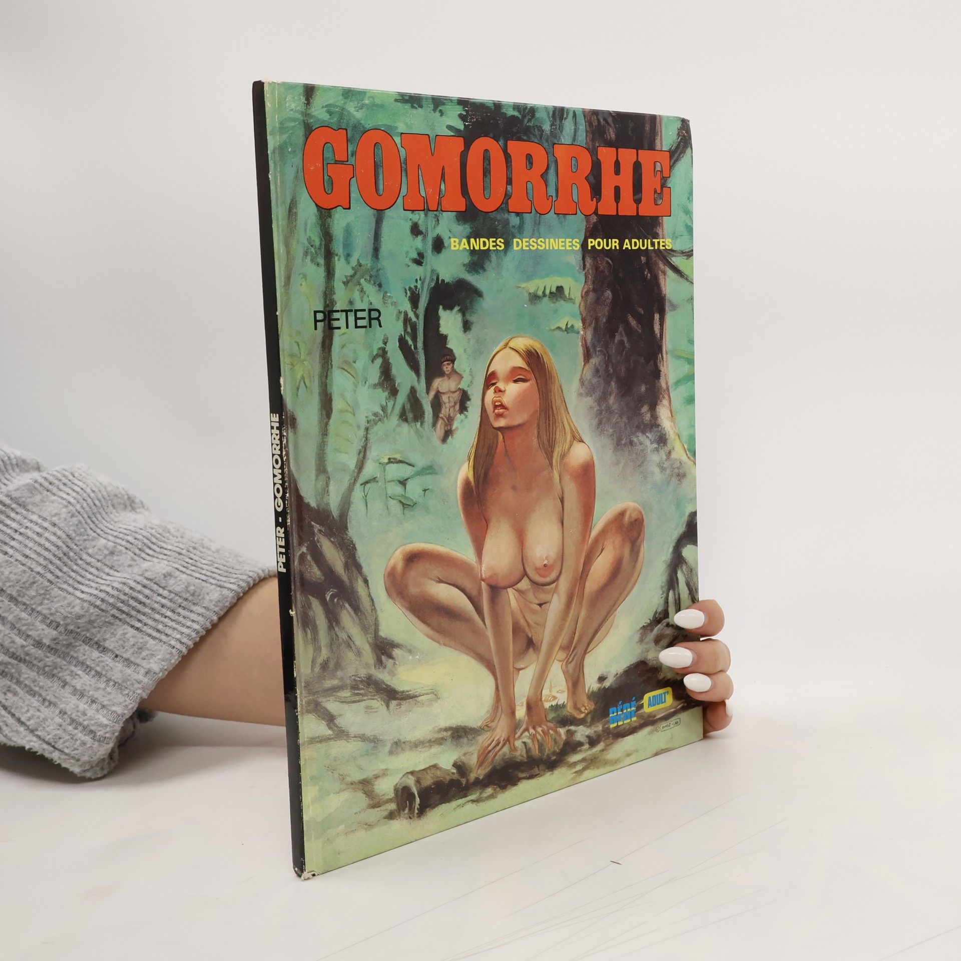 Collectif d'auteurs Gomorrhe