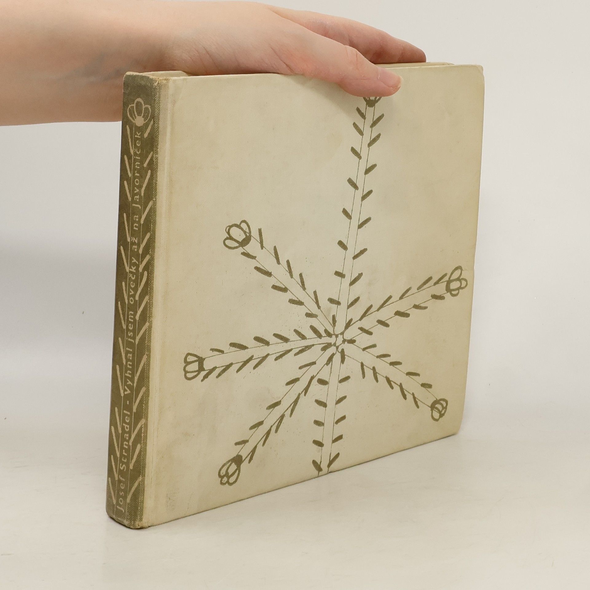 Vyhnal jsem ovečky až na Javorníček