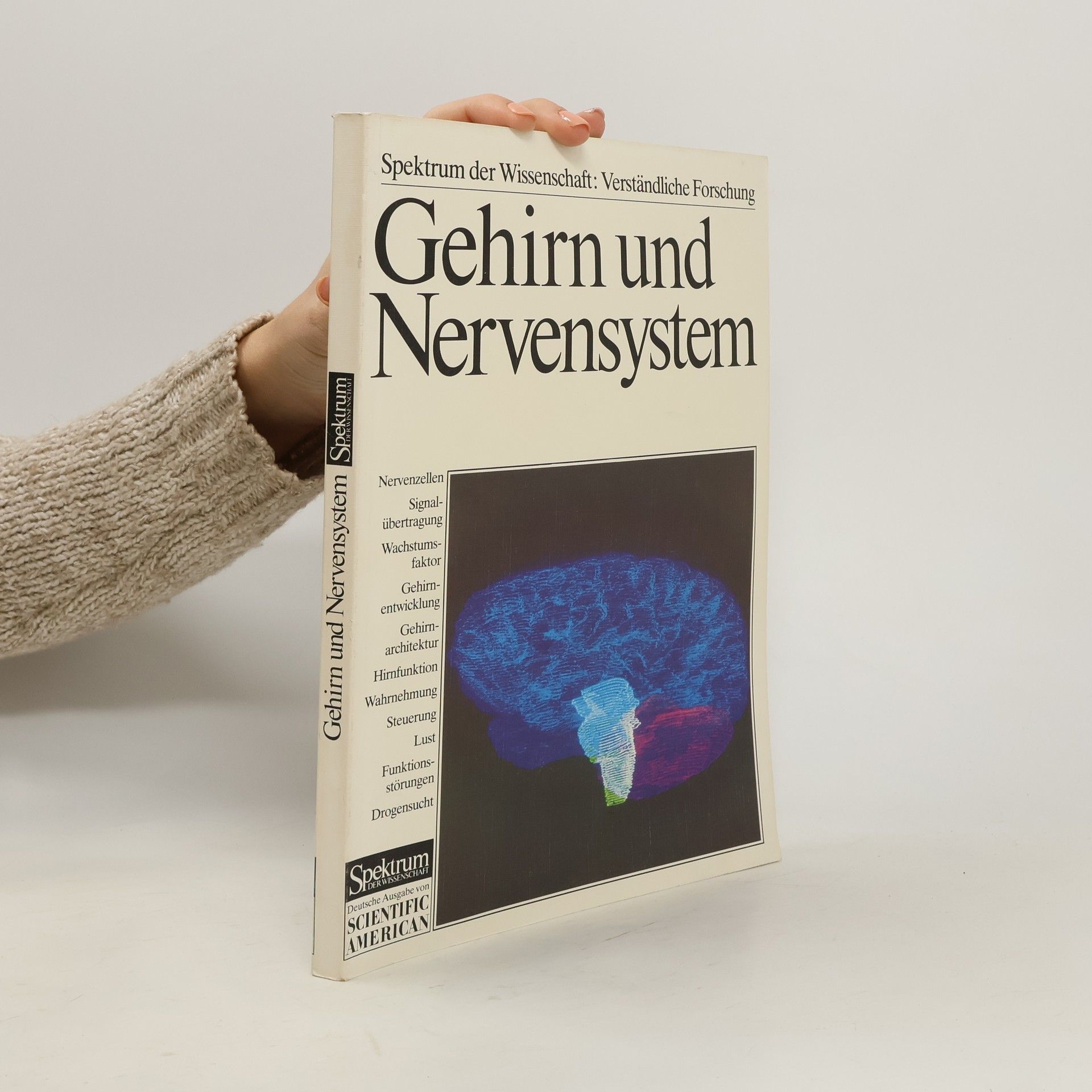Autorenkollektiv Gehirn und Nervensystem