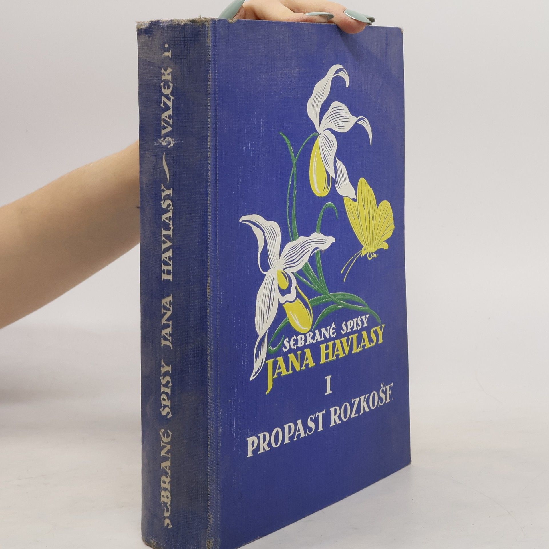 Jan Havlasa Propast rozkoše: Román