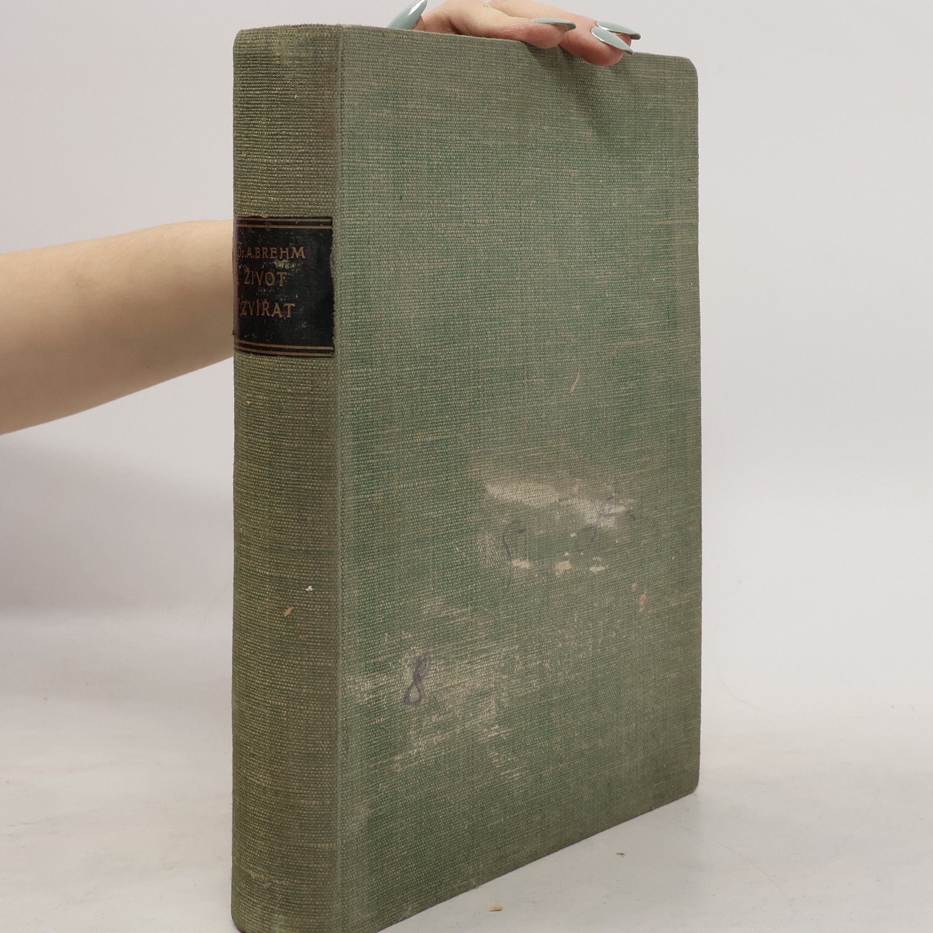 Alfred Edmund Brehm Život zvířat II. Ptáci