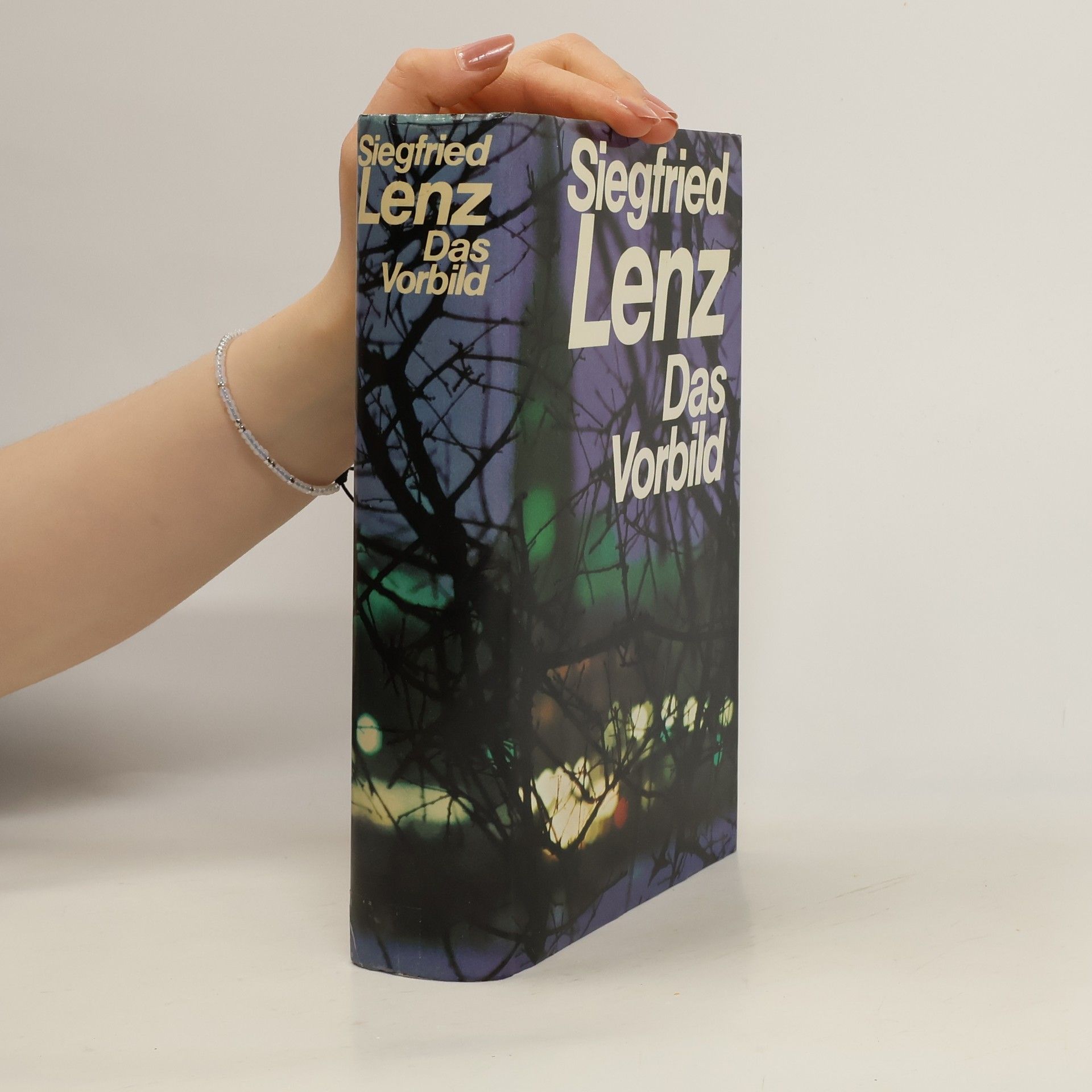 Siegfried Lenz Das Vorbild