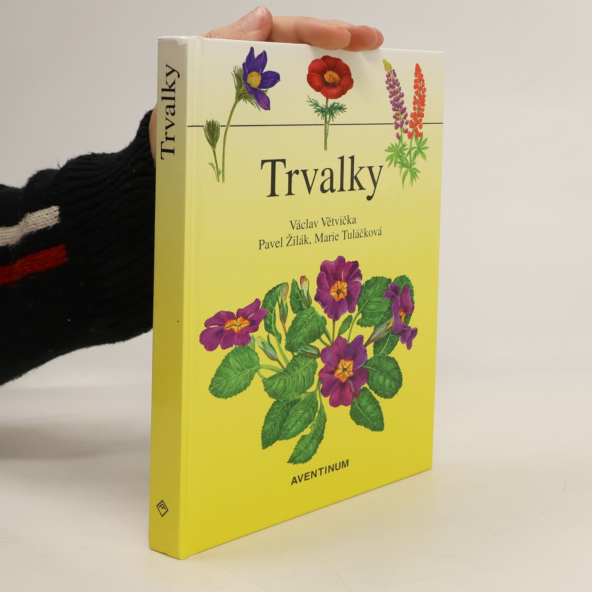 Trvalky