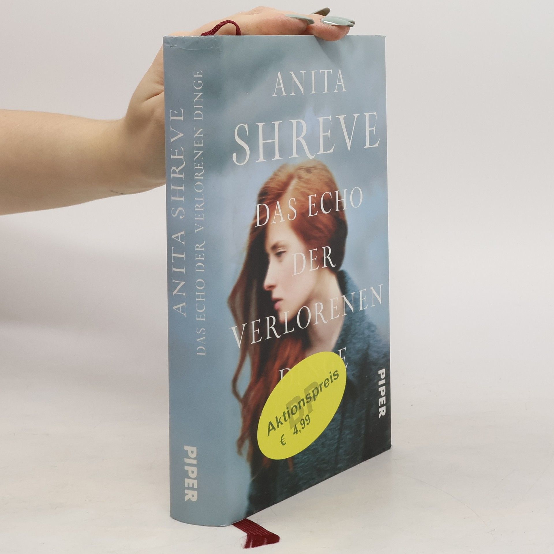 Anita Shreve Das Echo der verlorenen Dinge