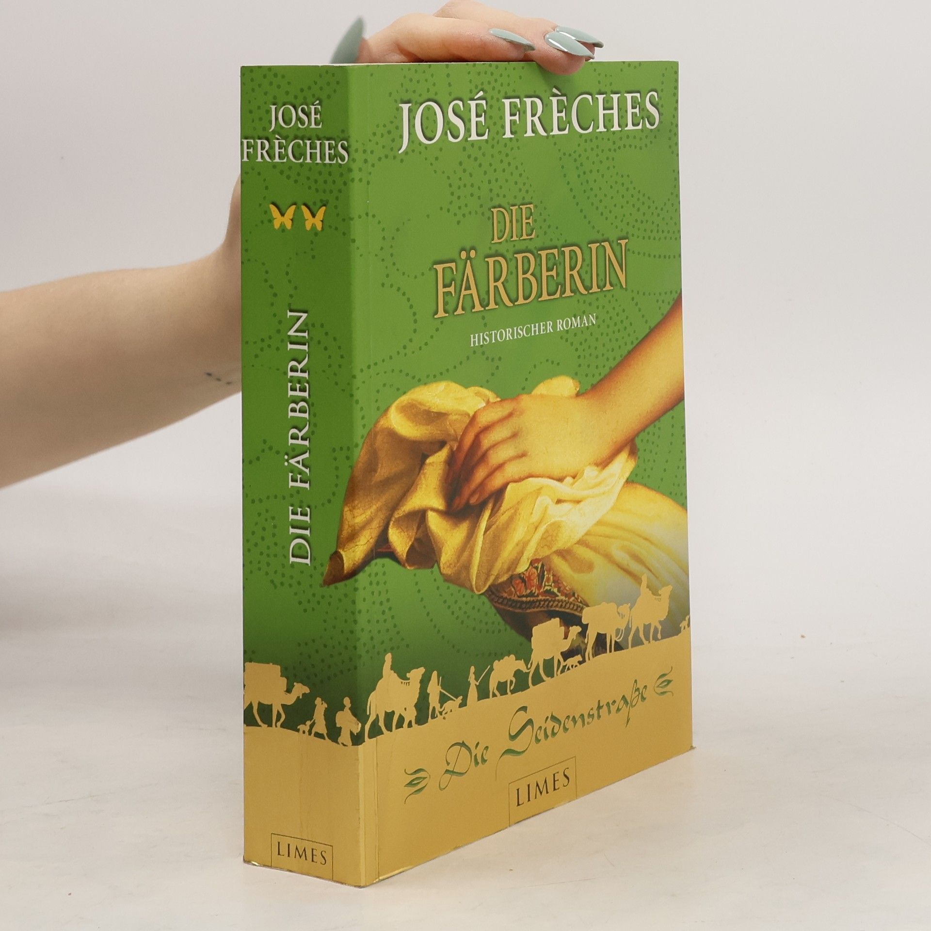 Die Seidenstraße - Die Färberin. Historischer Roman