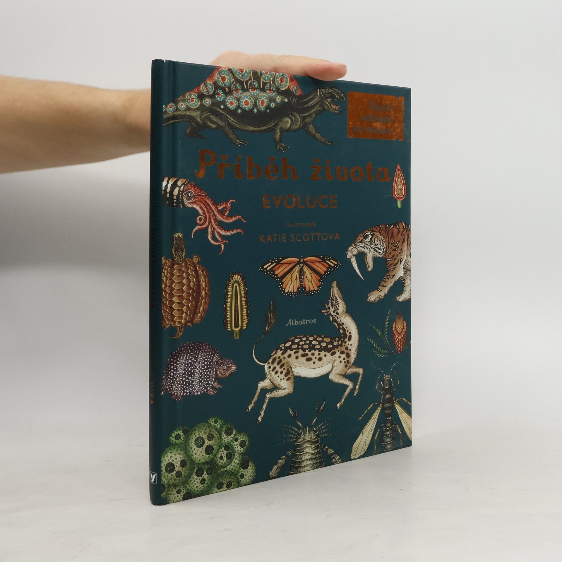 Příběh života: Evoluce