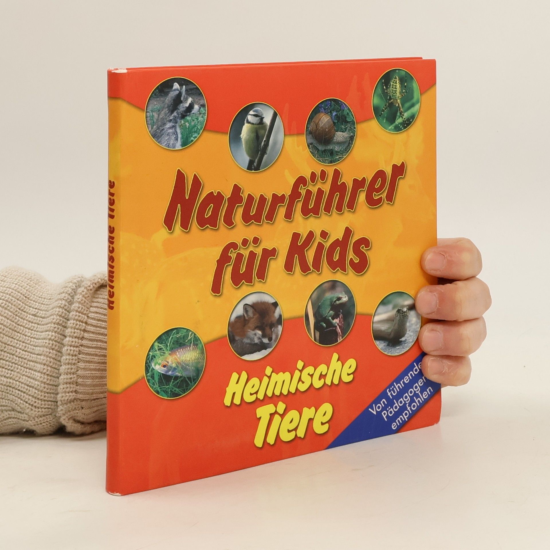 Kolektív autorov Naturführer für Kids