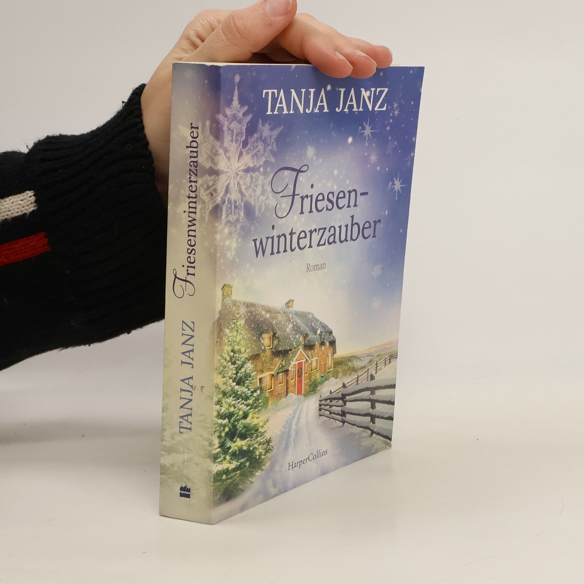 Tanja Janz Friesenwinterzauber