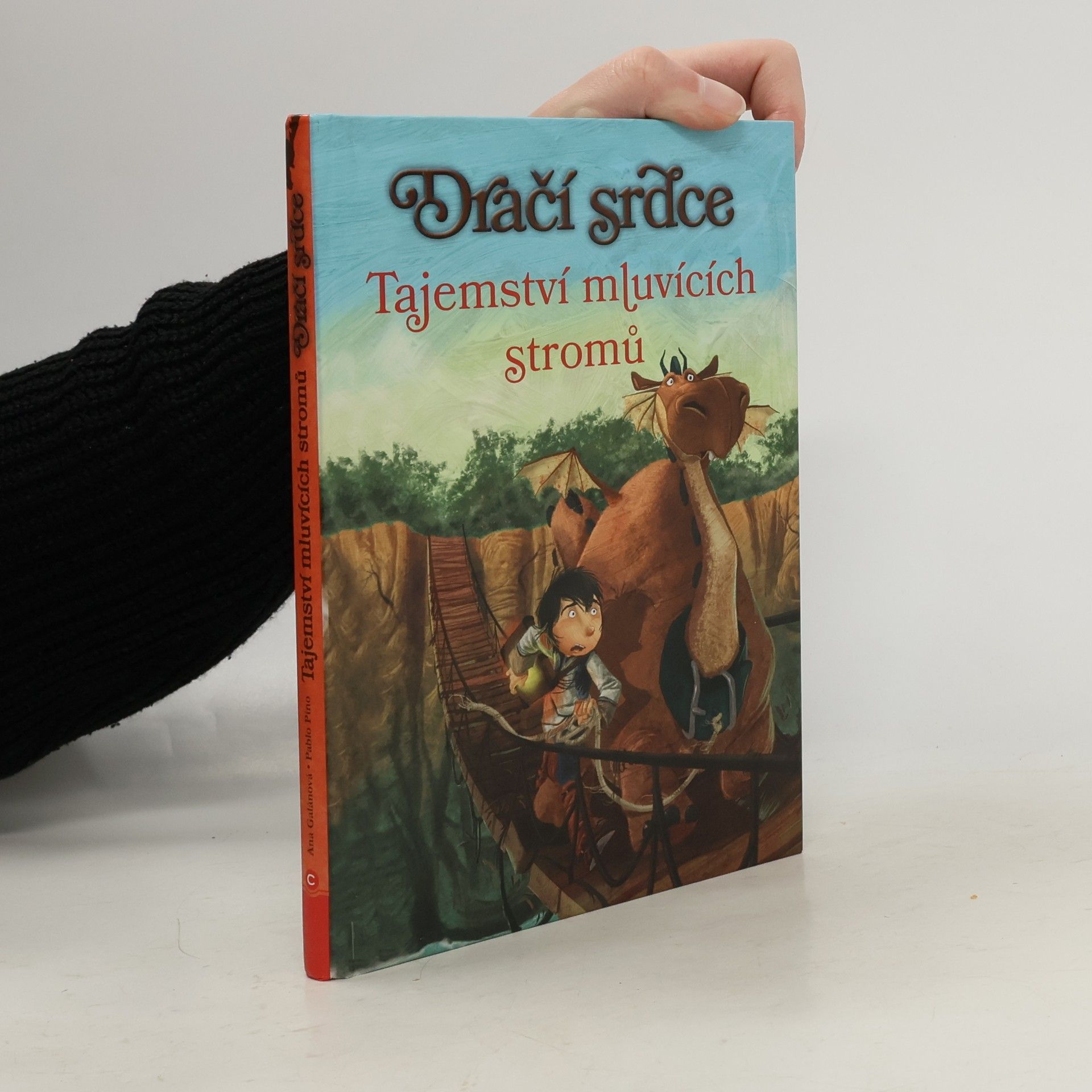 Ana Galán Dračí srdce. Tajemství mluvících stromů