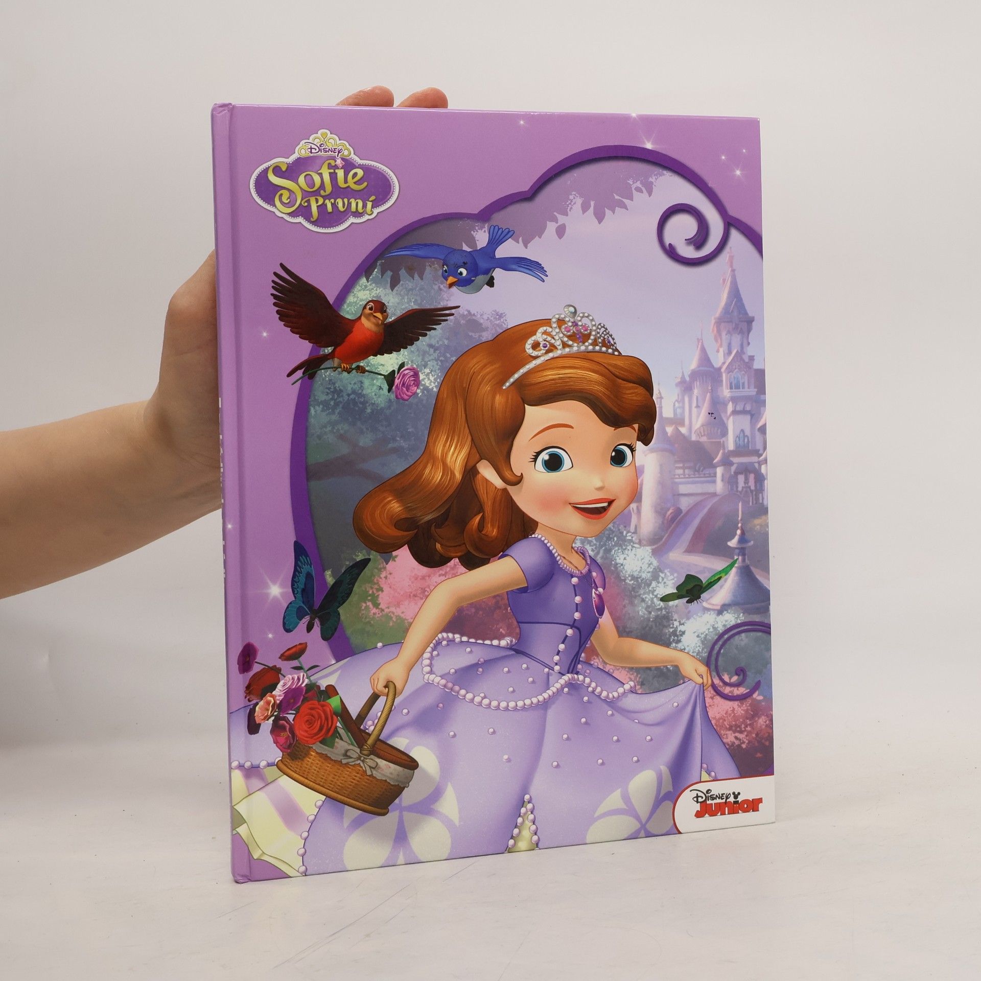 Autorenkollektiv Sofie První. Amulet a hymna