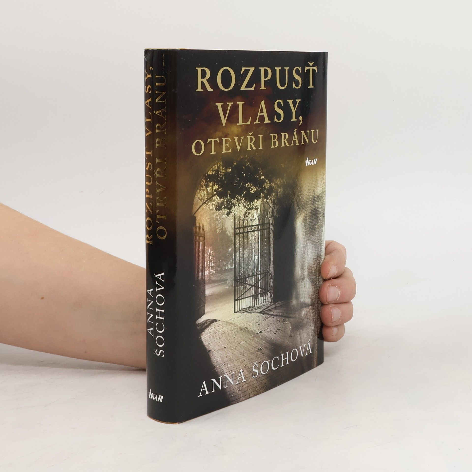 Rozpusť vlasy, otevři bránu