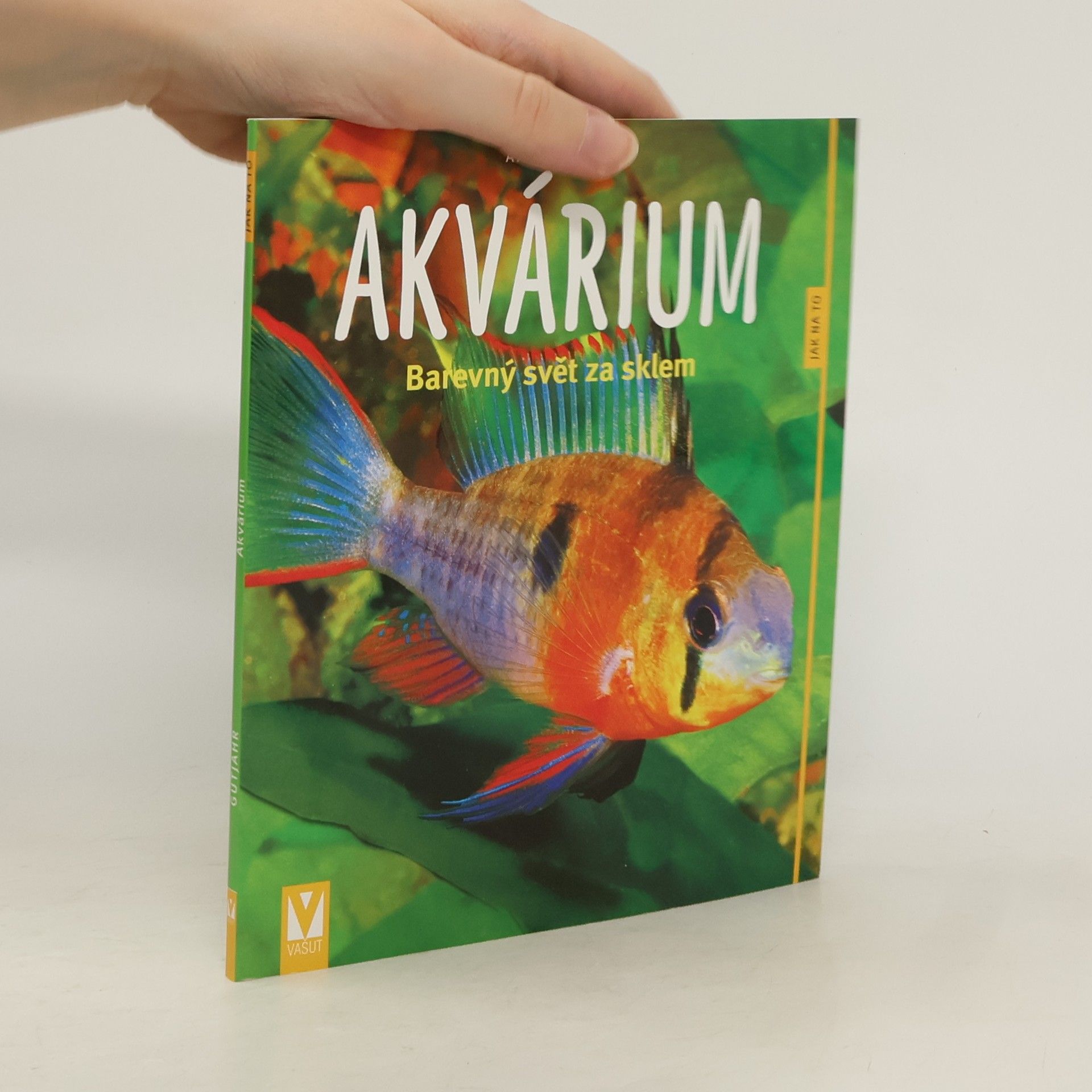 Akvárium. Barevný svět za sklem