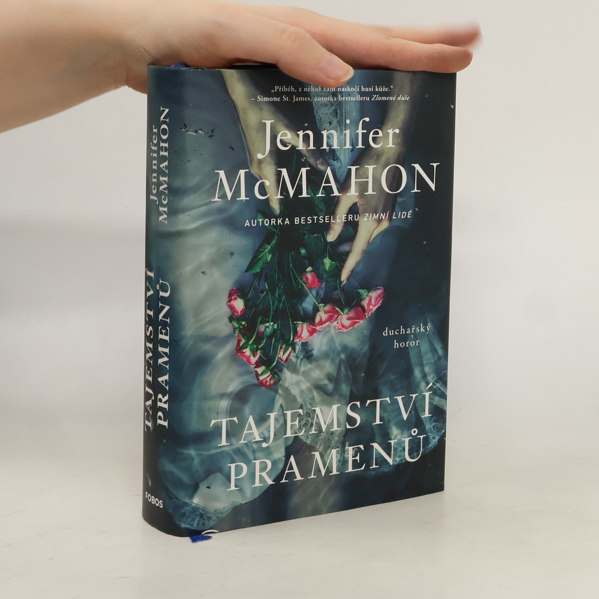 Jennifer McMahon Tajemství pramenů