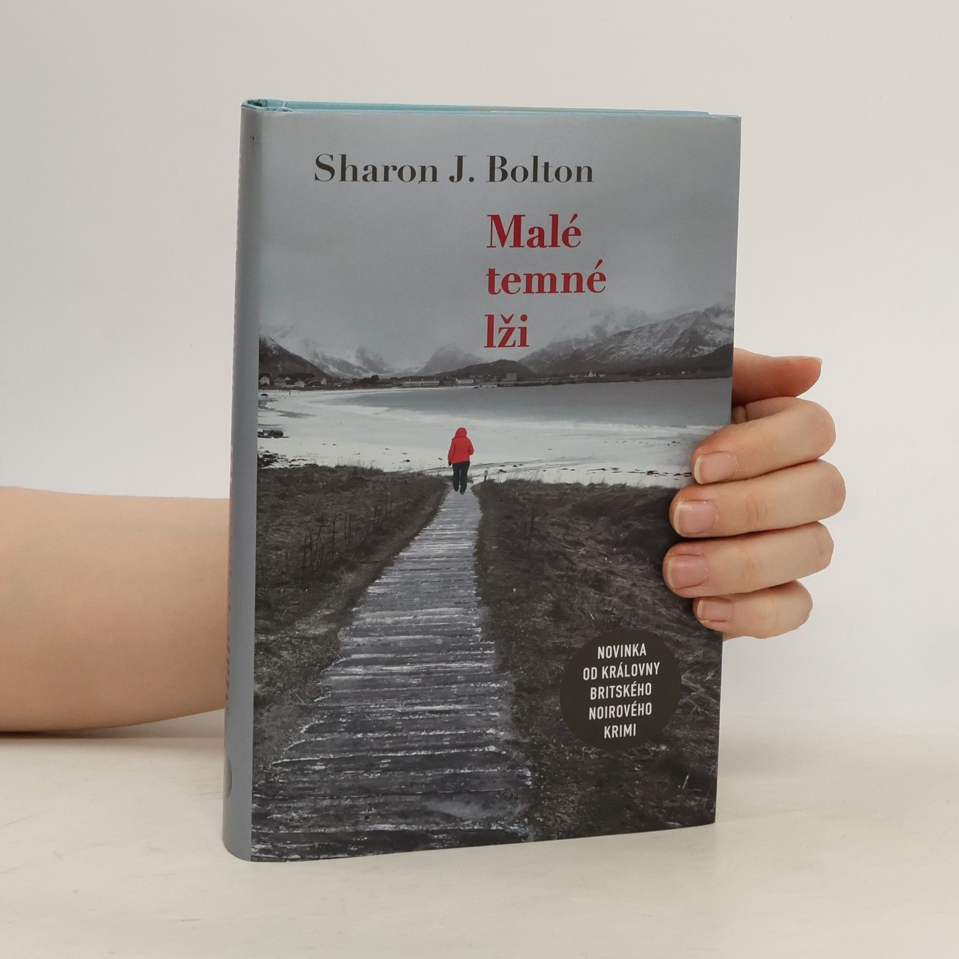 S. J. Bolton Malé temné lži