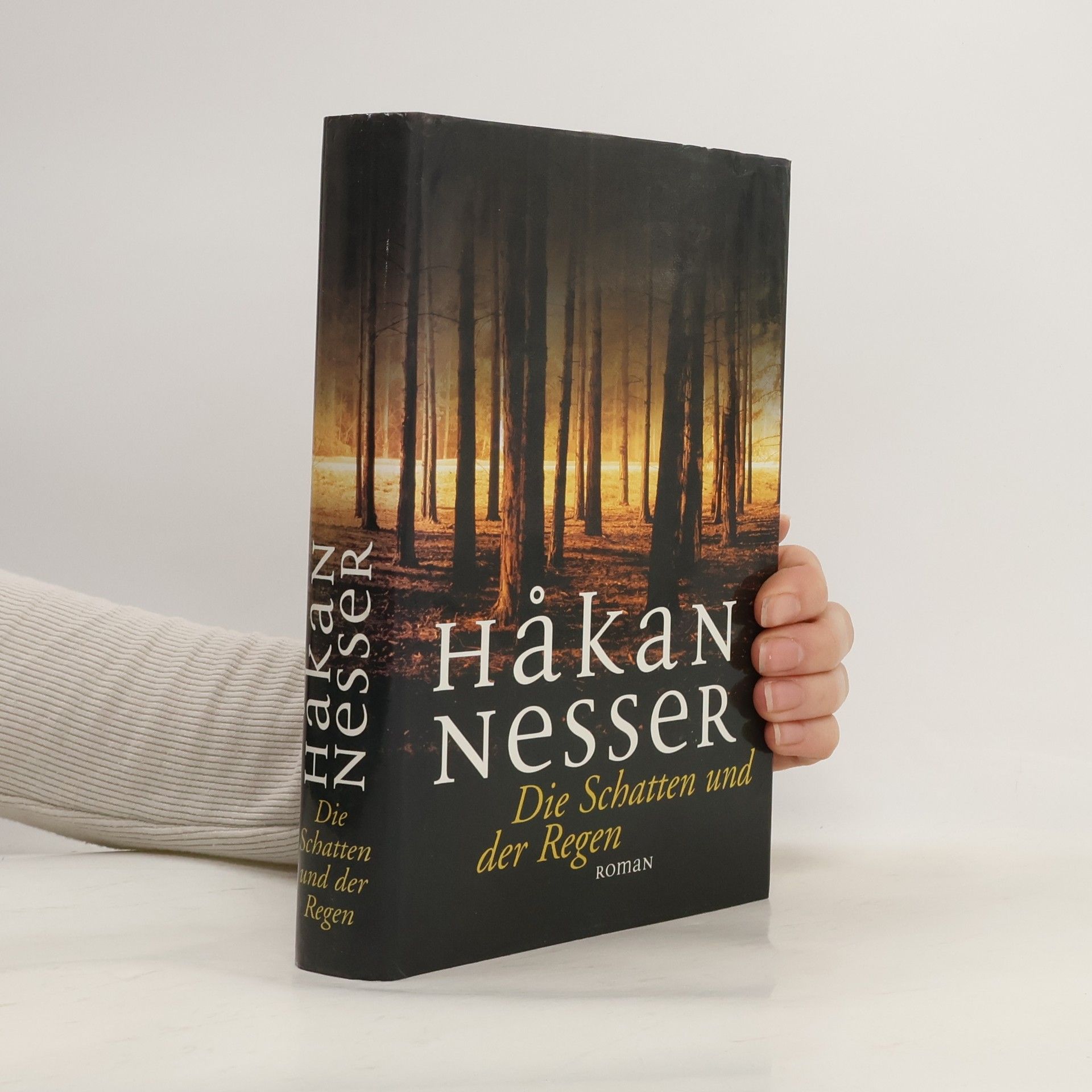 Håkan Nesser Die Schatten und der Regen
