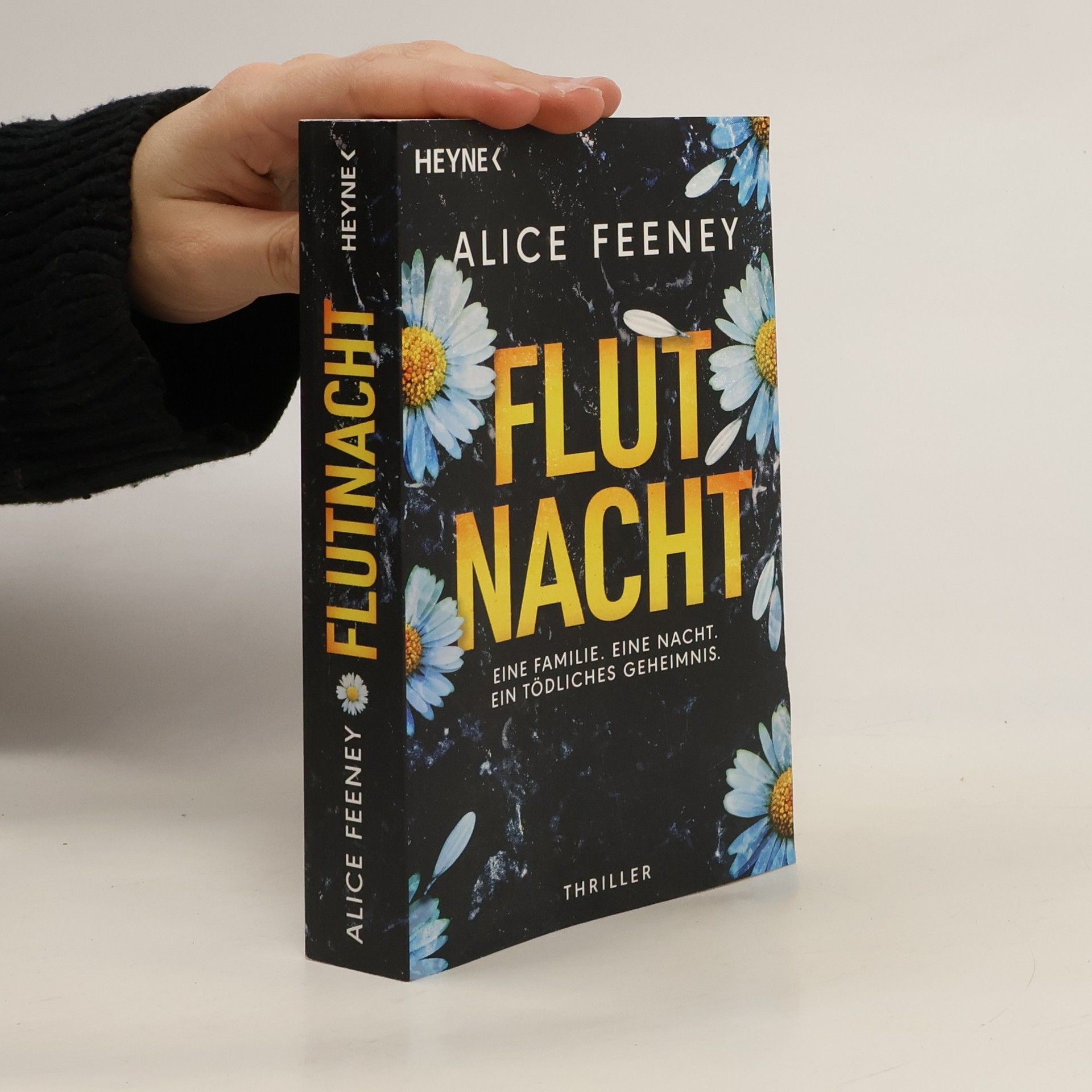 Alice Feeney Flutnacht – Eine Familie. Eine Nacht. Ein tödliches Geheimnis.. Thriller