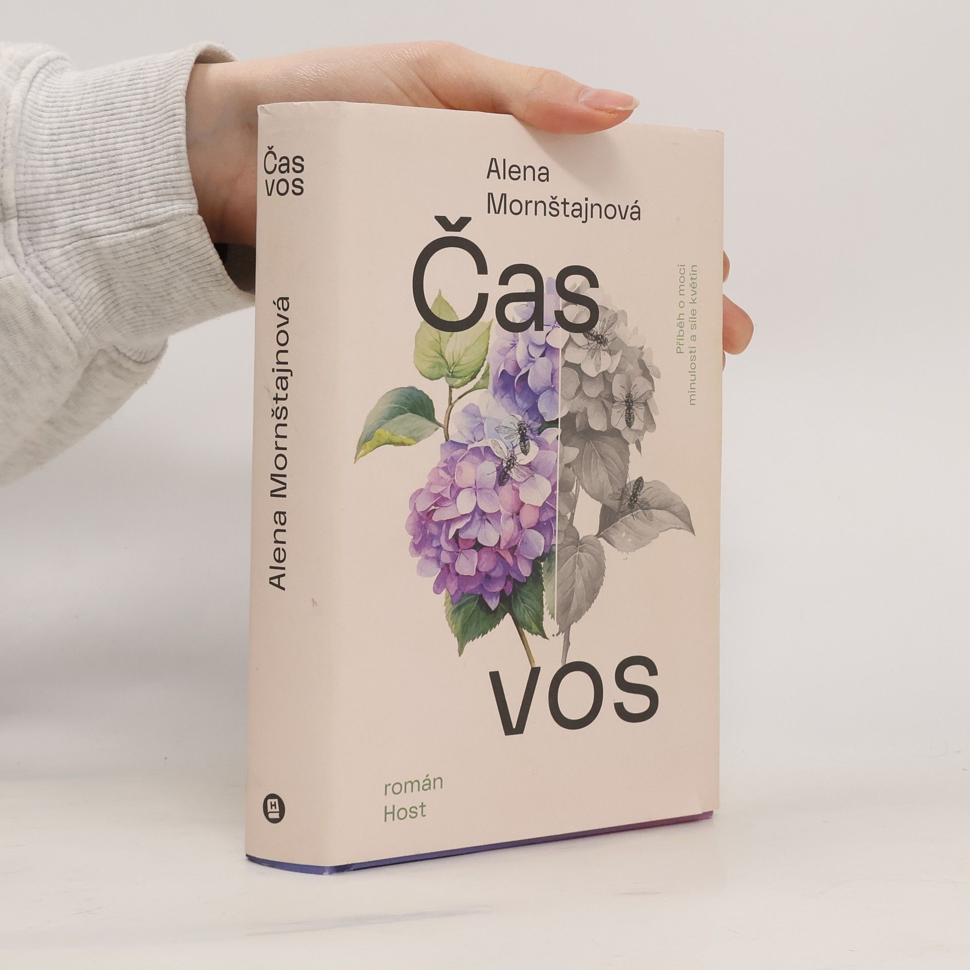 Alena Mornštajnová Čas vos