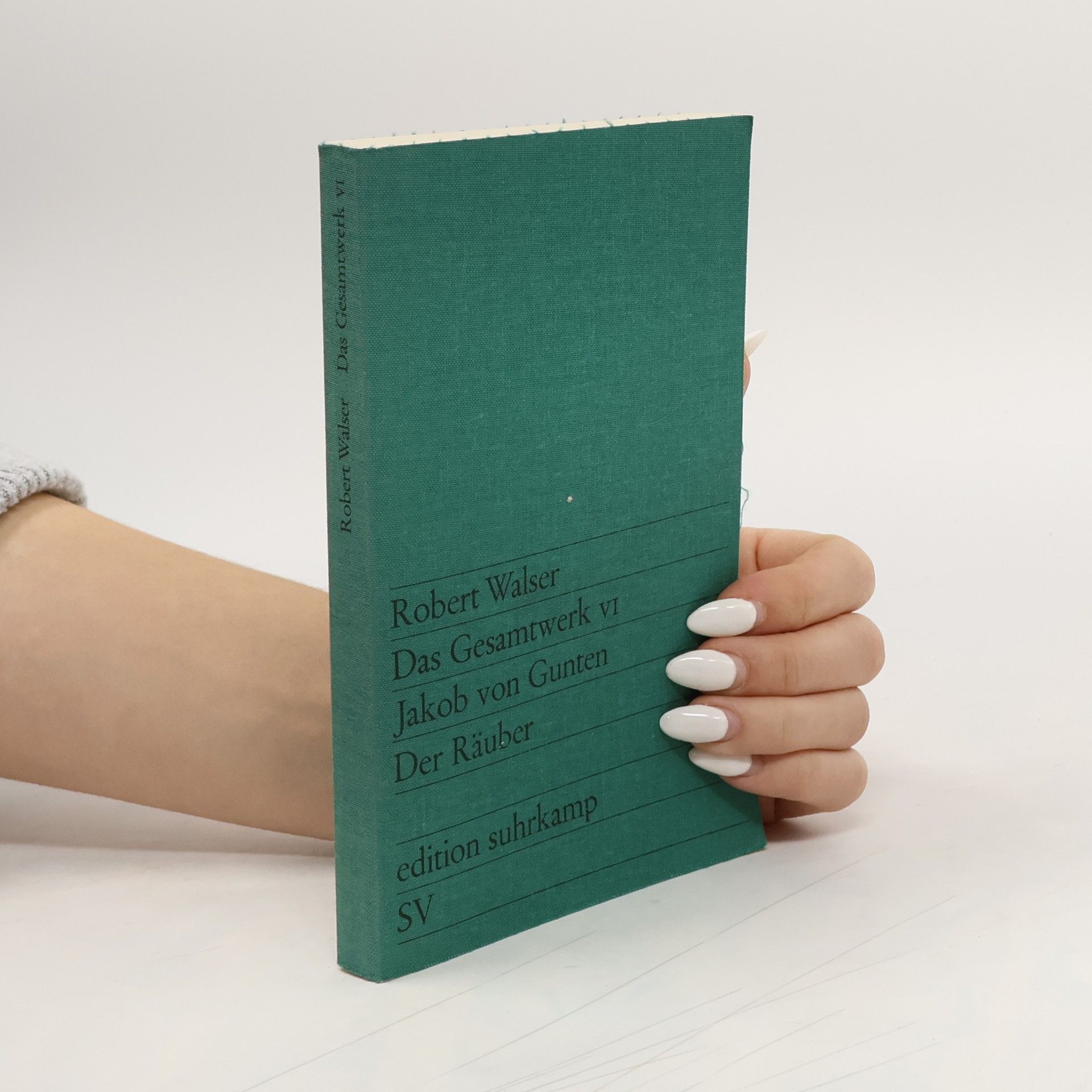 Robert Walser Das Gesamtwerk VI