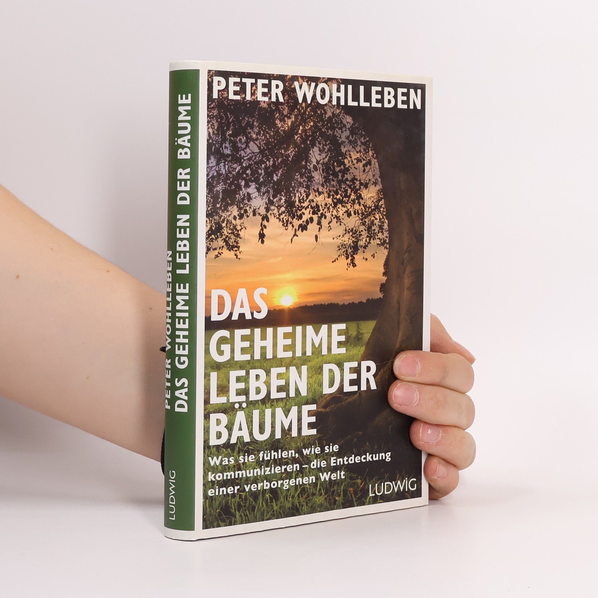 Peter Wohlleben Das geheime Leben der Bäume