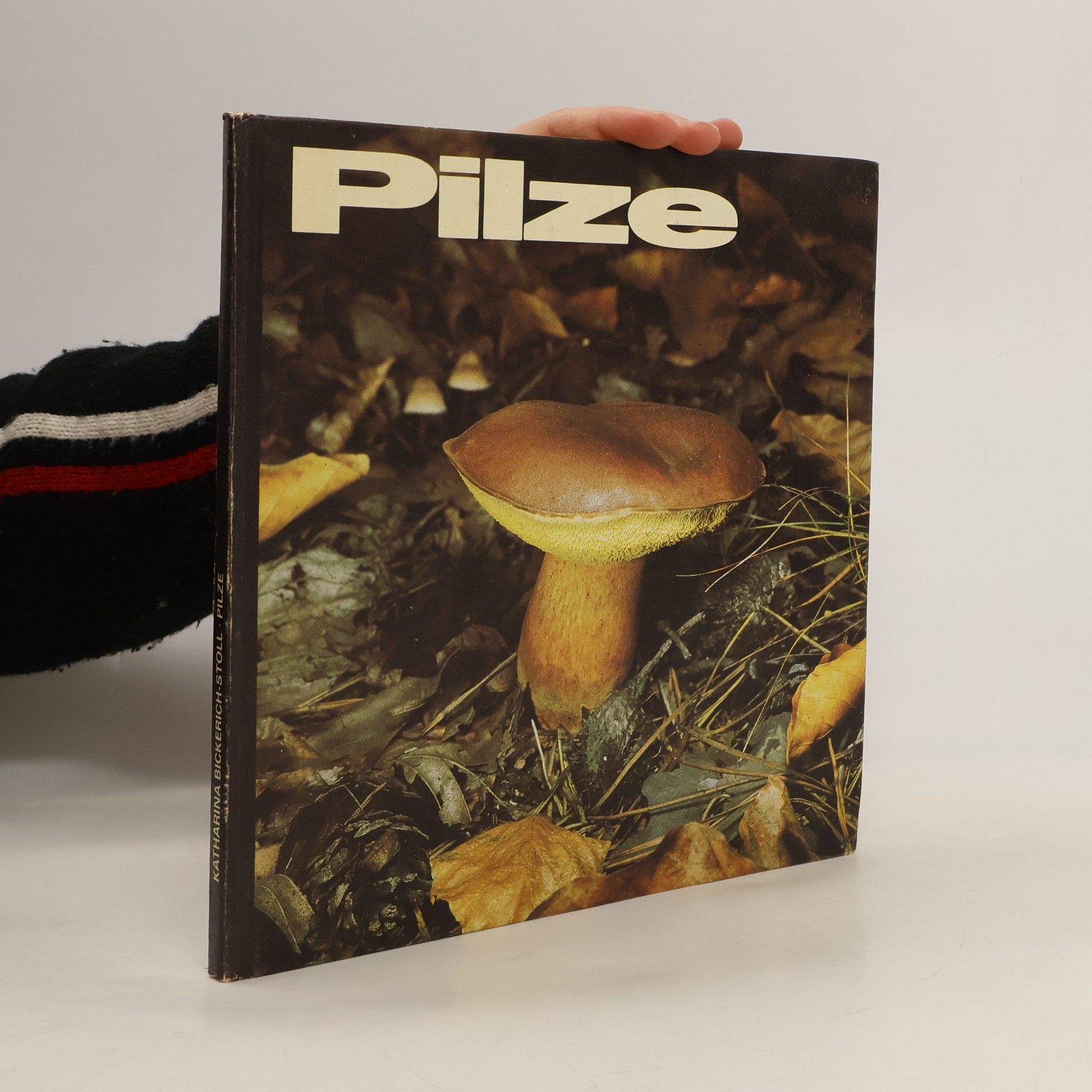 Autorenkollektiv Pilze