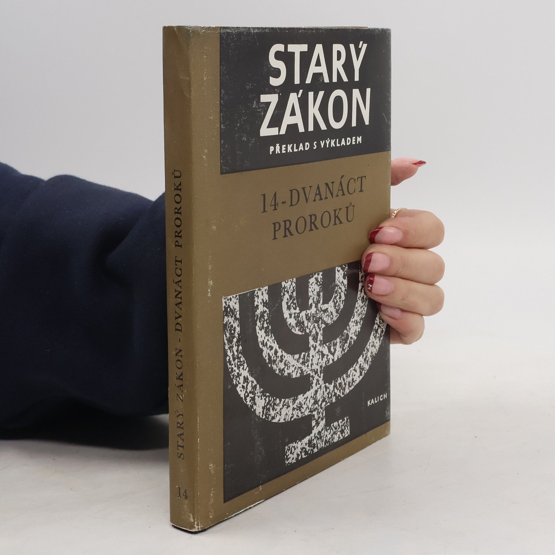 Autorenkollektiv Starý zákon. Překlad s výkladem 14. Dvanáct proroků