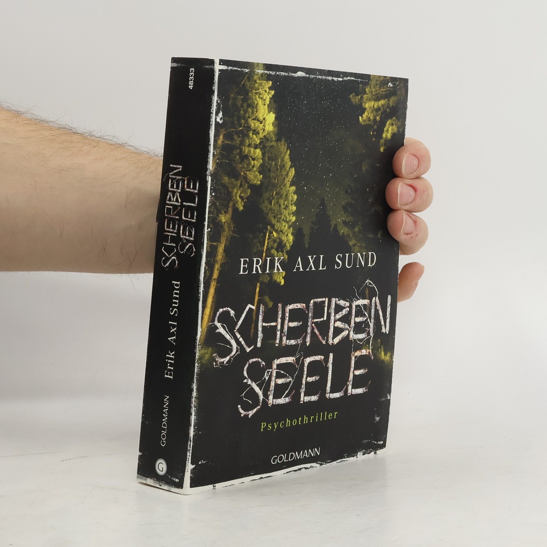 Erik Axl Sund Scherbenseele