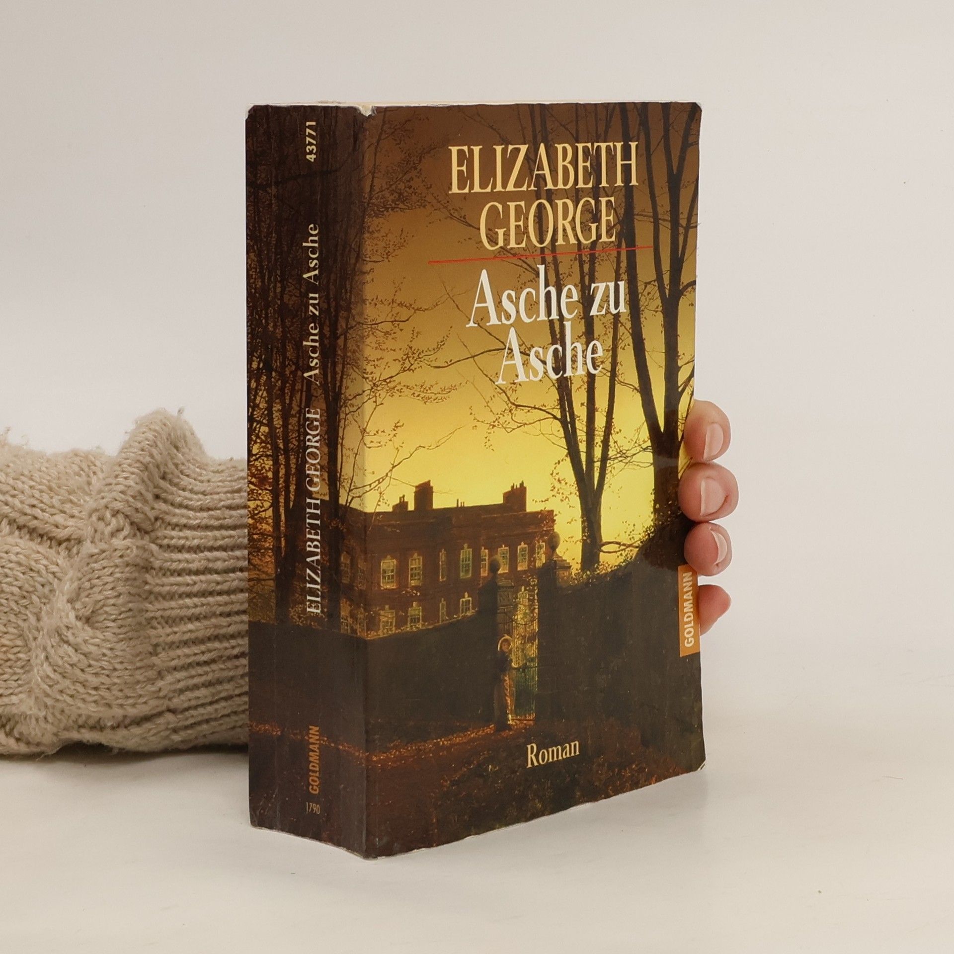 Elizabeth George Asche zu Asche