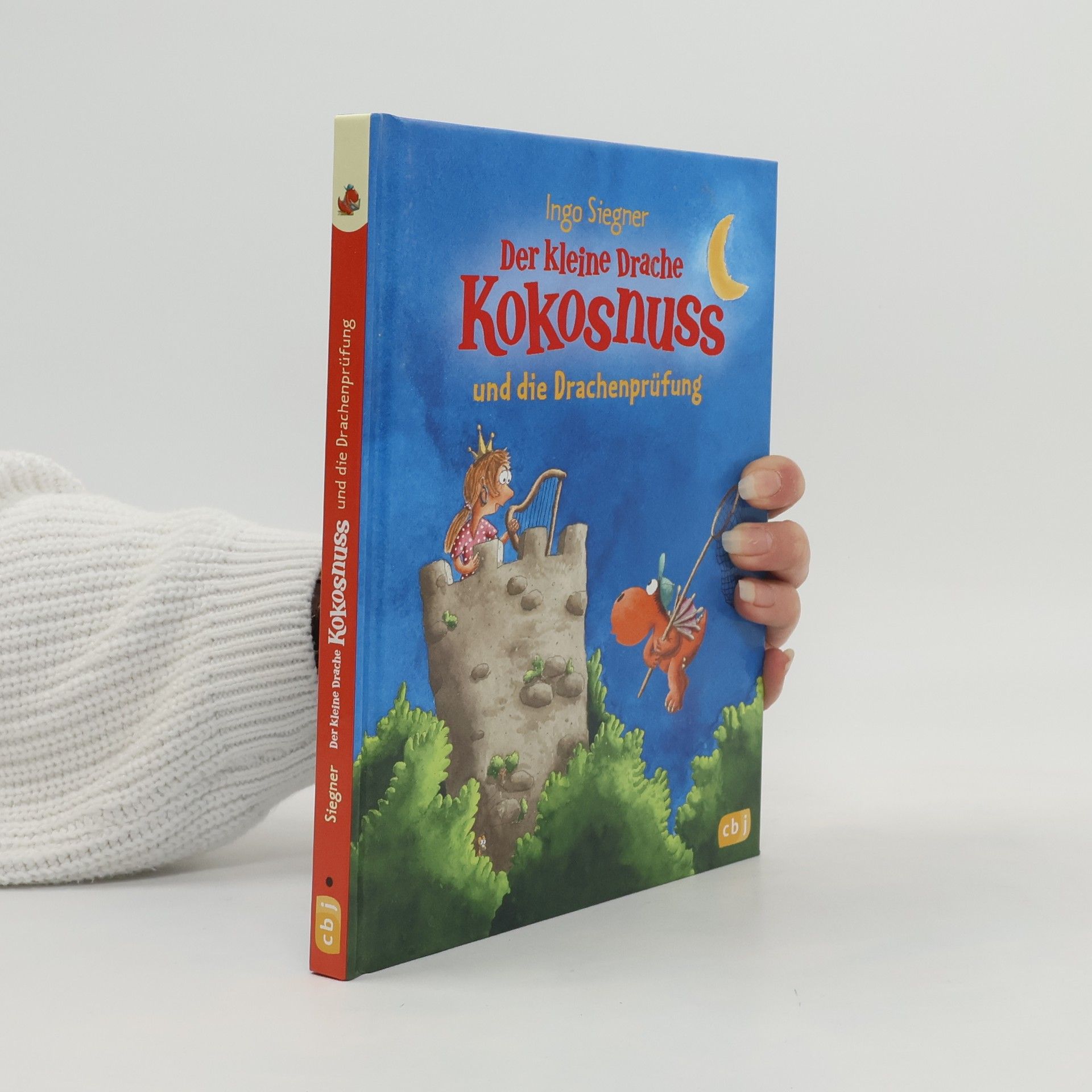 Ingo Seigner Der kleine Drache Kokosnuss und die Drachenprüfung