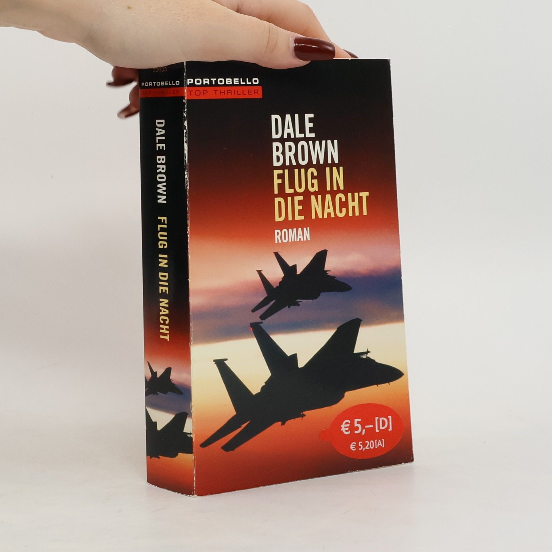Dale Brown Flug in die Nacht. Roman