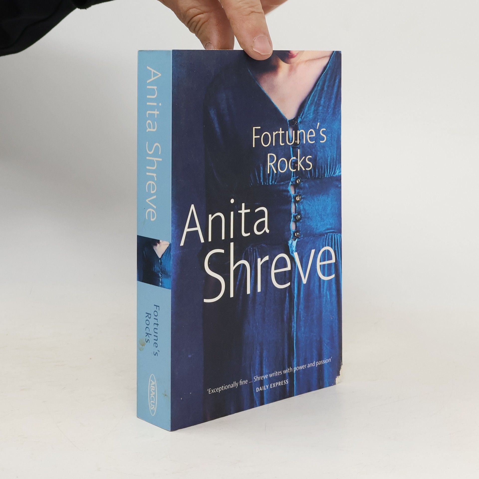 Anita Shreve Fortune's Rocks