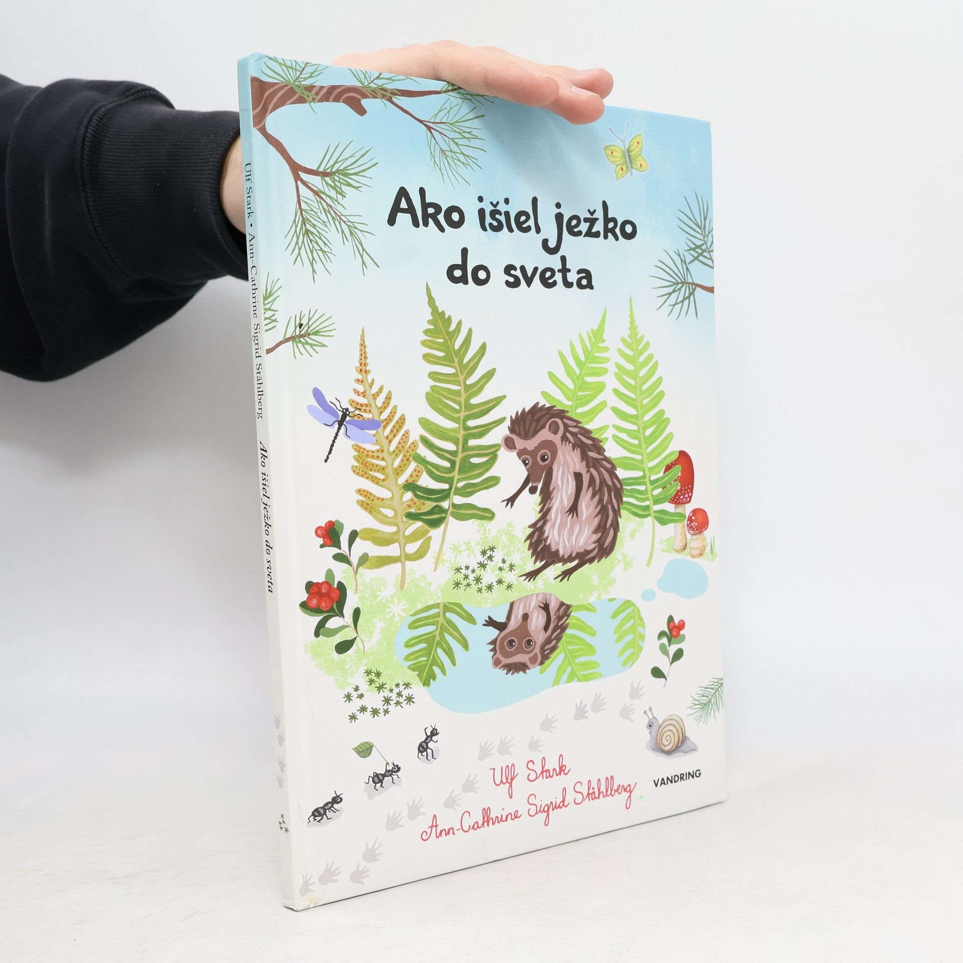 Ako išiel ježko do sveta