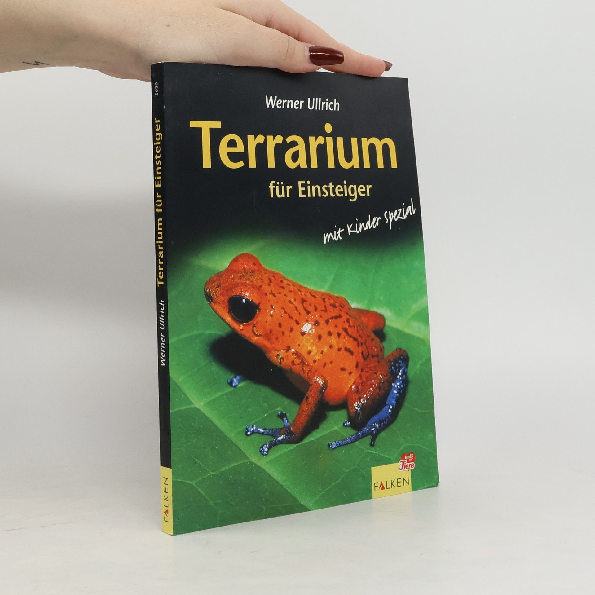 Terrarium für Einsteiger