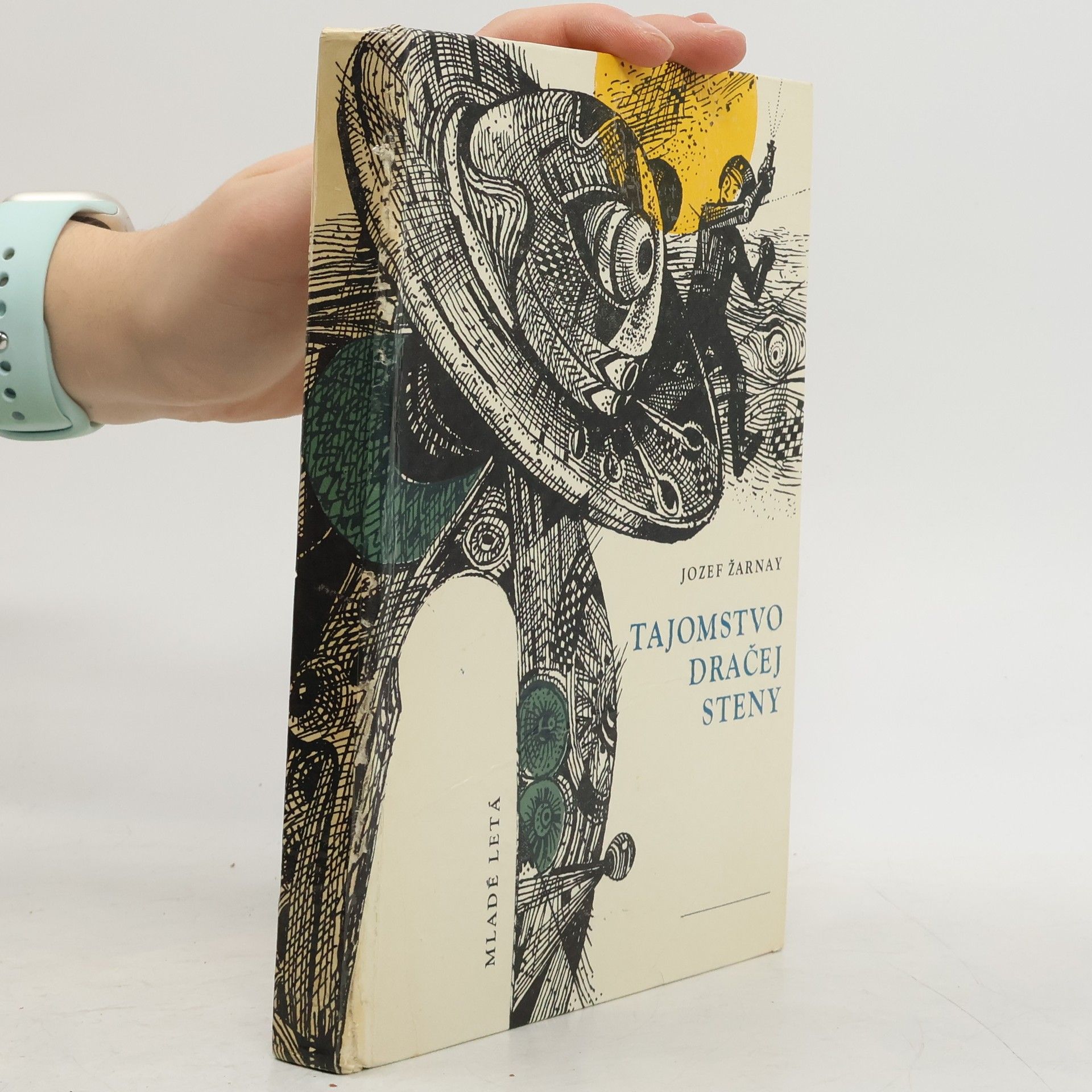 Tajomstvo dračej steny