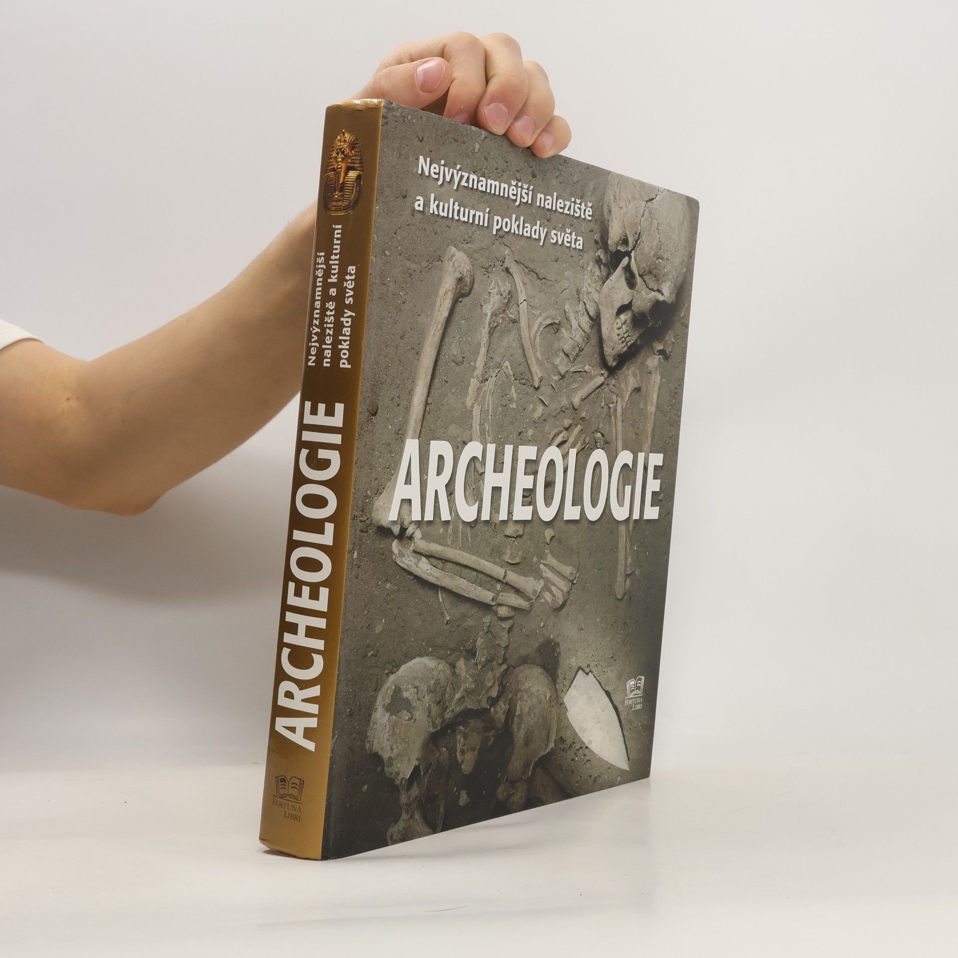 Bahram Ajorloo Archeologie: Nejvýznamnější naleziště a kulturní poklady světa