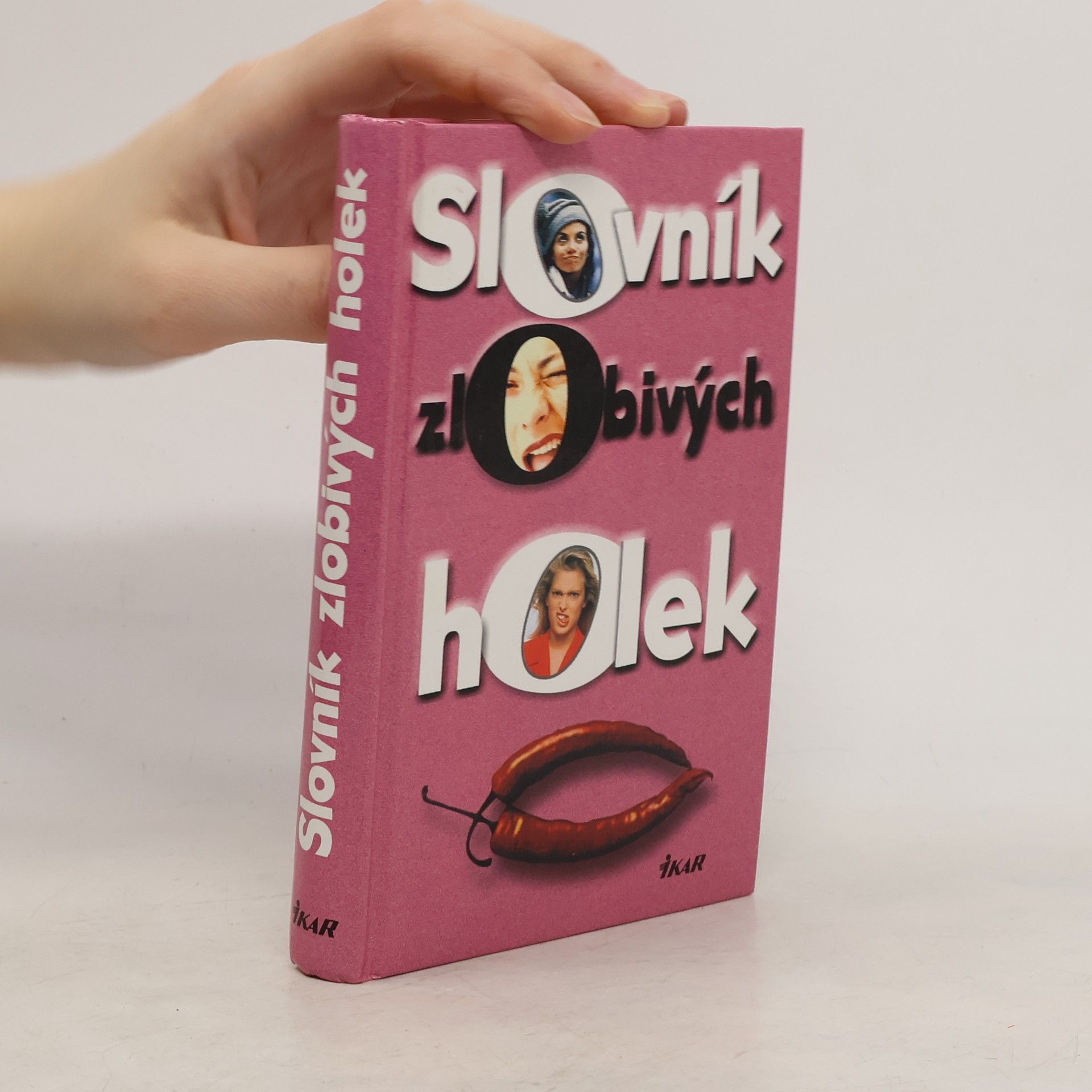 Slovník zlobivých holek