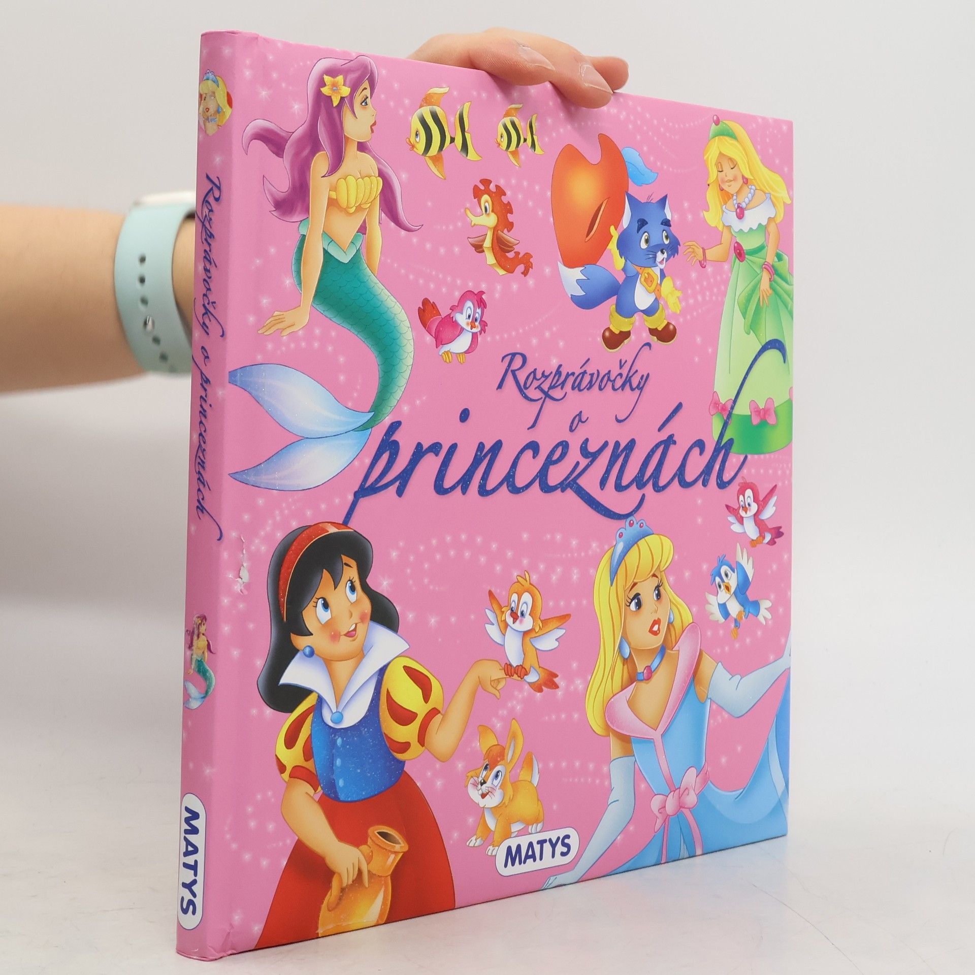 Autorenkollektiv Rozprávočky o princeznách