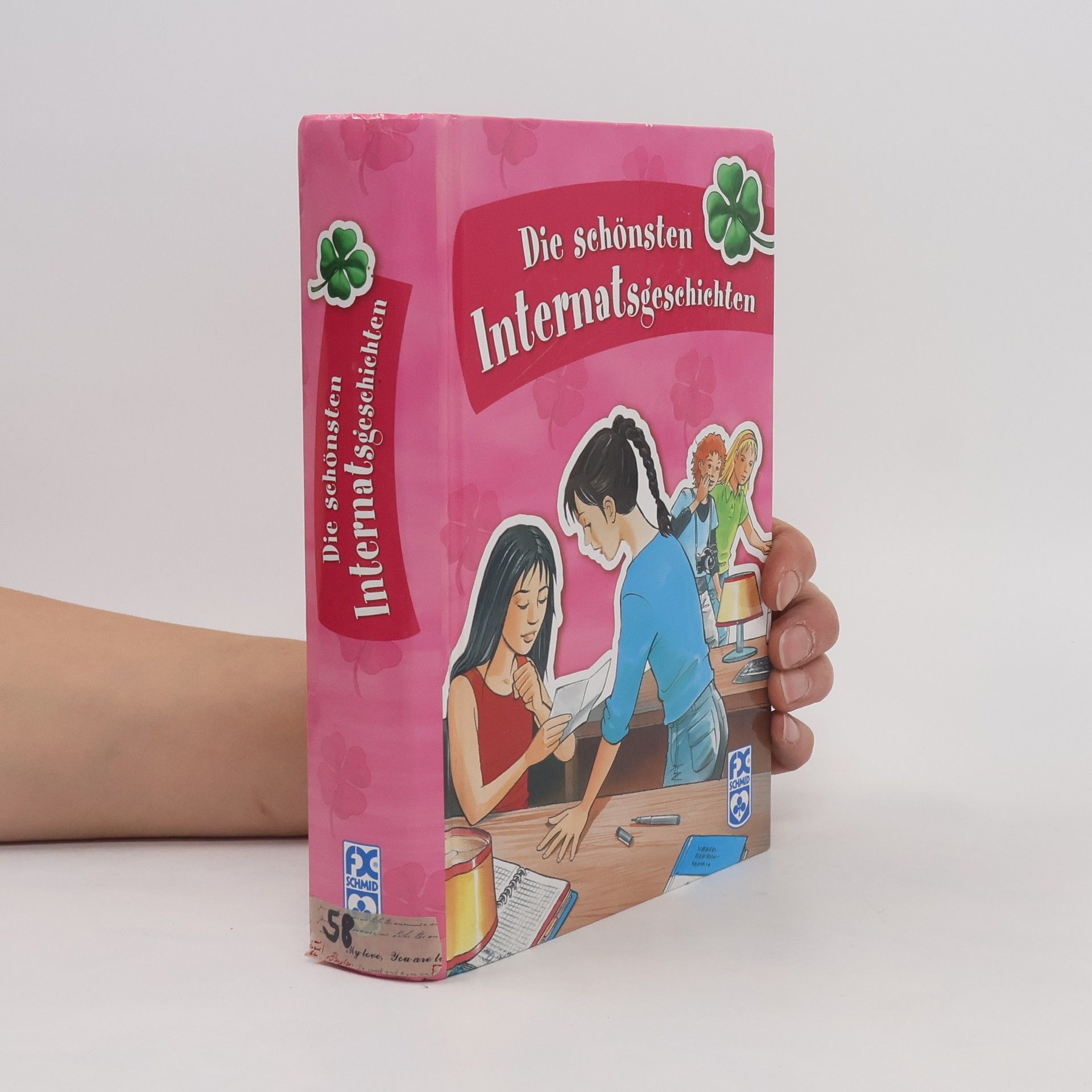 Die schönsten Internatsgeschichten