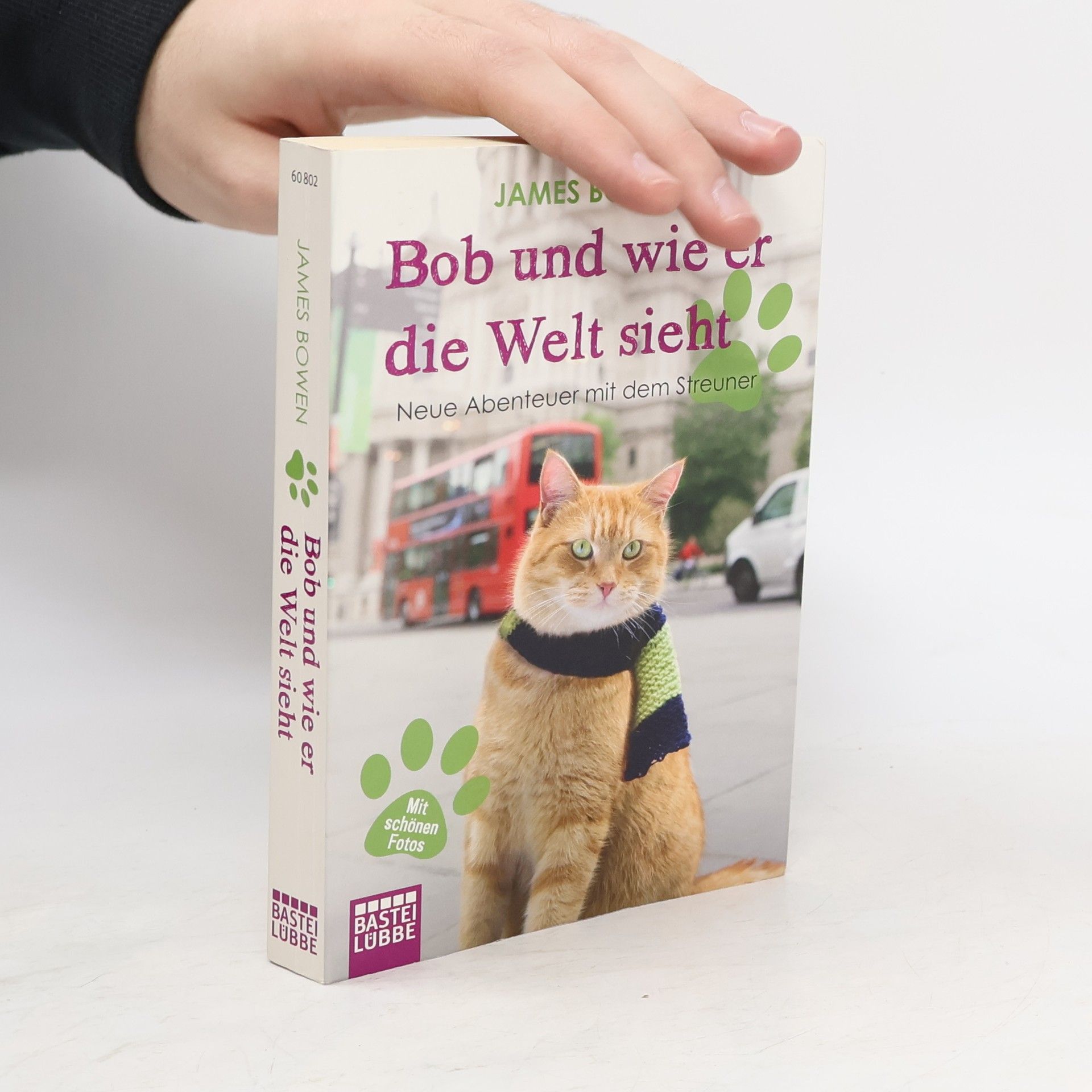 James Bowen Bob und wie er die Welt sieht