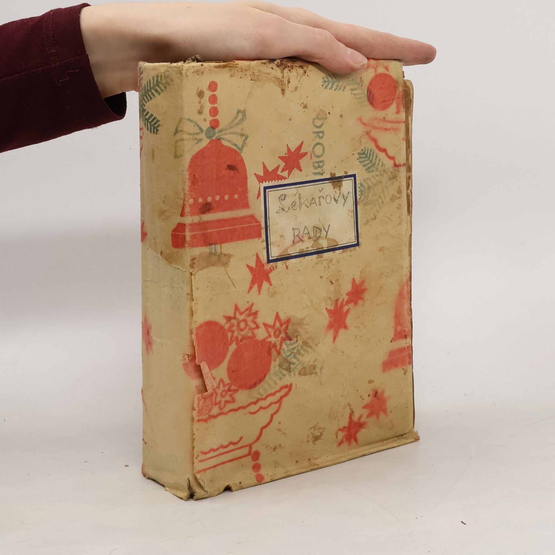 Michal Dudek Lékařovy rady