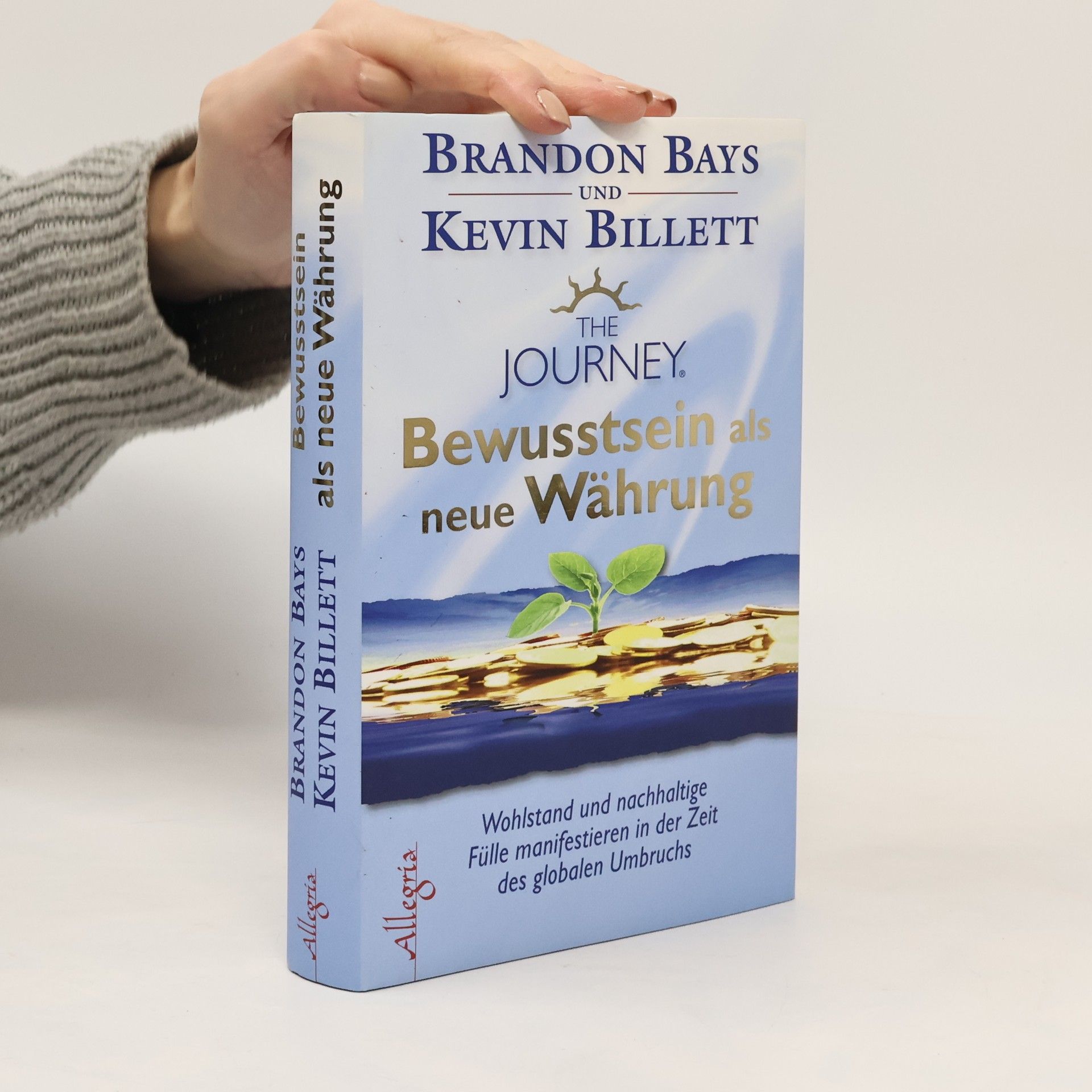 Brandon Bays The Journey - Bewusstsein als neue Währung